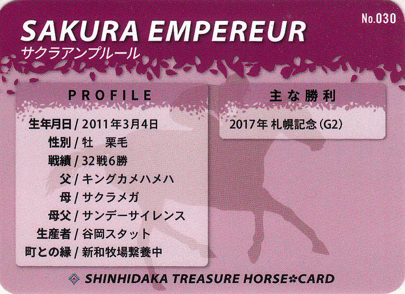 選べる！！トレジャーホースカード　競馬マニア 新ひだかトレジャーホースカード 109枚の名馬達の私見解説