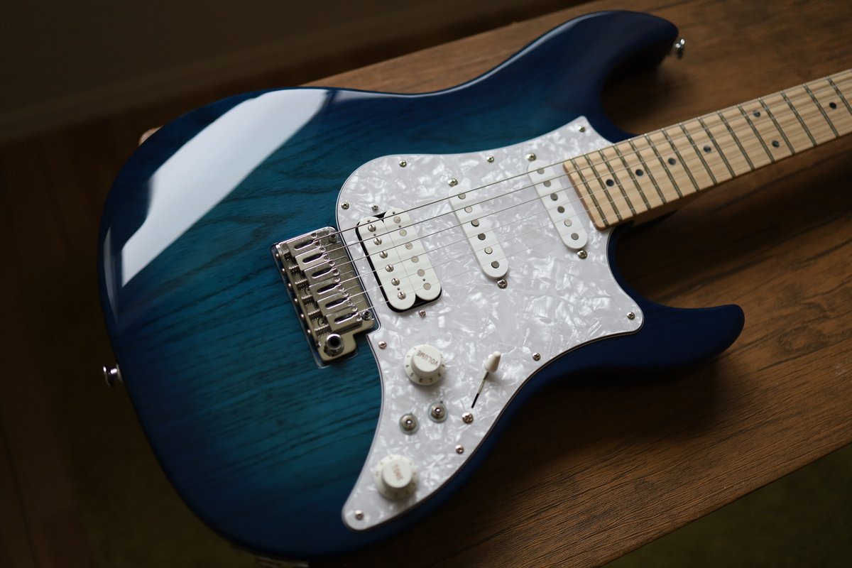 機材レビュー]FGN(Fujigen) Expert OS(EOS)｜Croquetteギター機材研究 