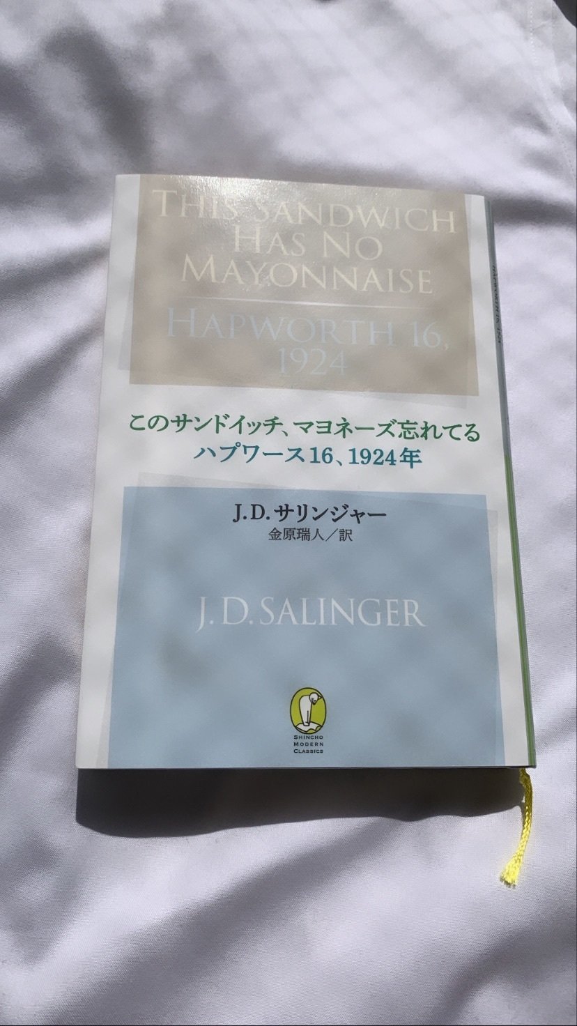 J.D.サリンジャー 22冊➕サリンジャー3冊 J・D・サリンジャー全小説の感想｜関根裕治