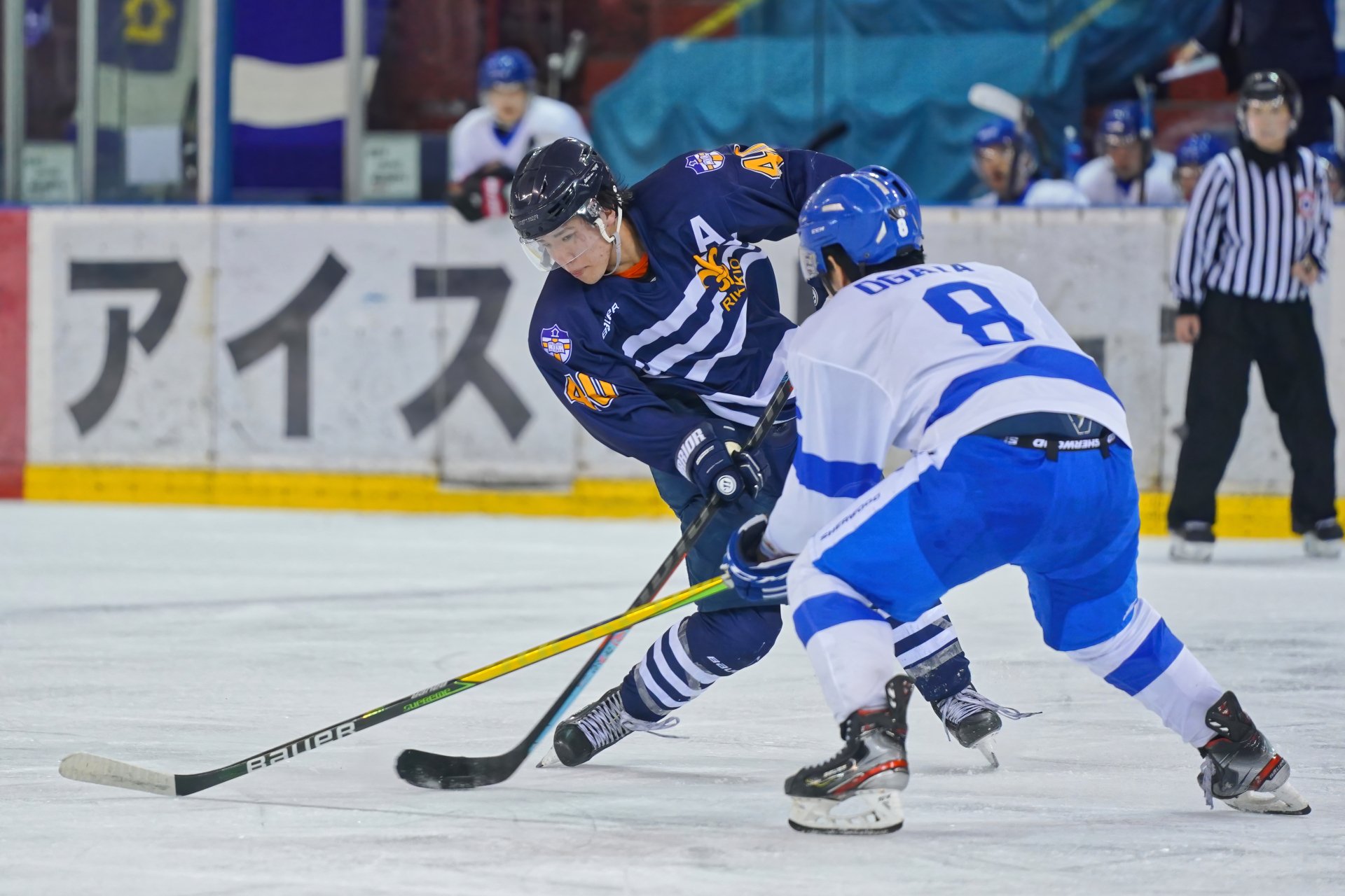 立教大学 0-5 神奈川大学 (2022/4/29)|IceHockeyStream 立教大学 0-5 神奈川大学 (2022/4/29)|IceHockeyStream