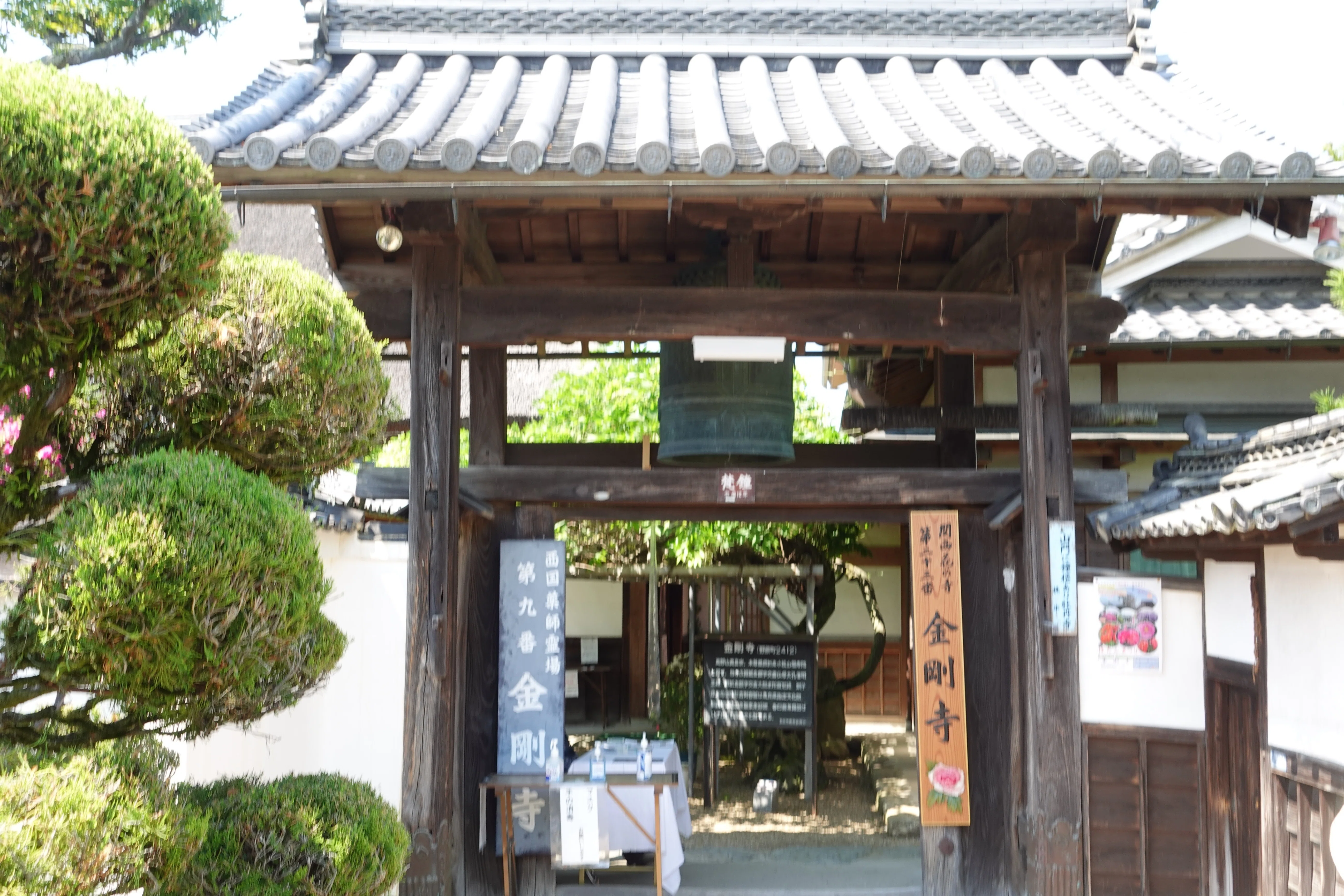 花の寺 休みを癒す 美しさ 色を引き立て 五條の空 大和五條の金剛寺に咲いていた花々 南 奥河内から情報発信 フォロバ100 相互フォロー歓迎 毎日更新 彡 Note