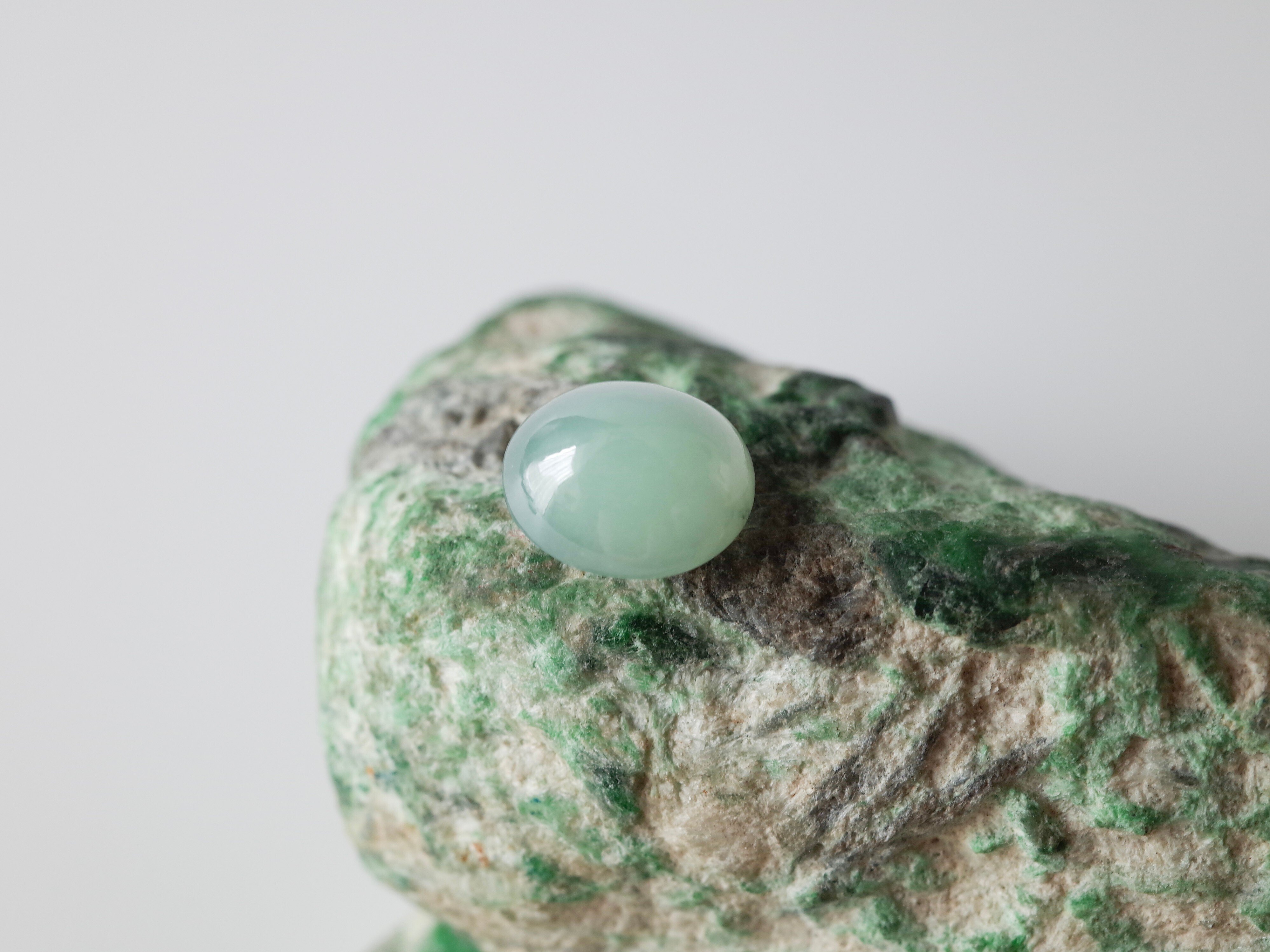 SELSHA通信5月号】知るとハマる！奥深い翡翠の世界｜SELSHA