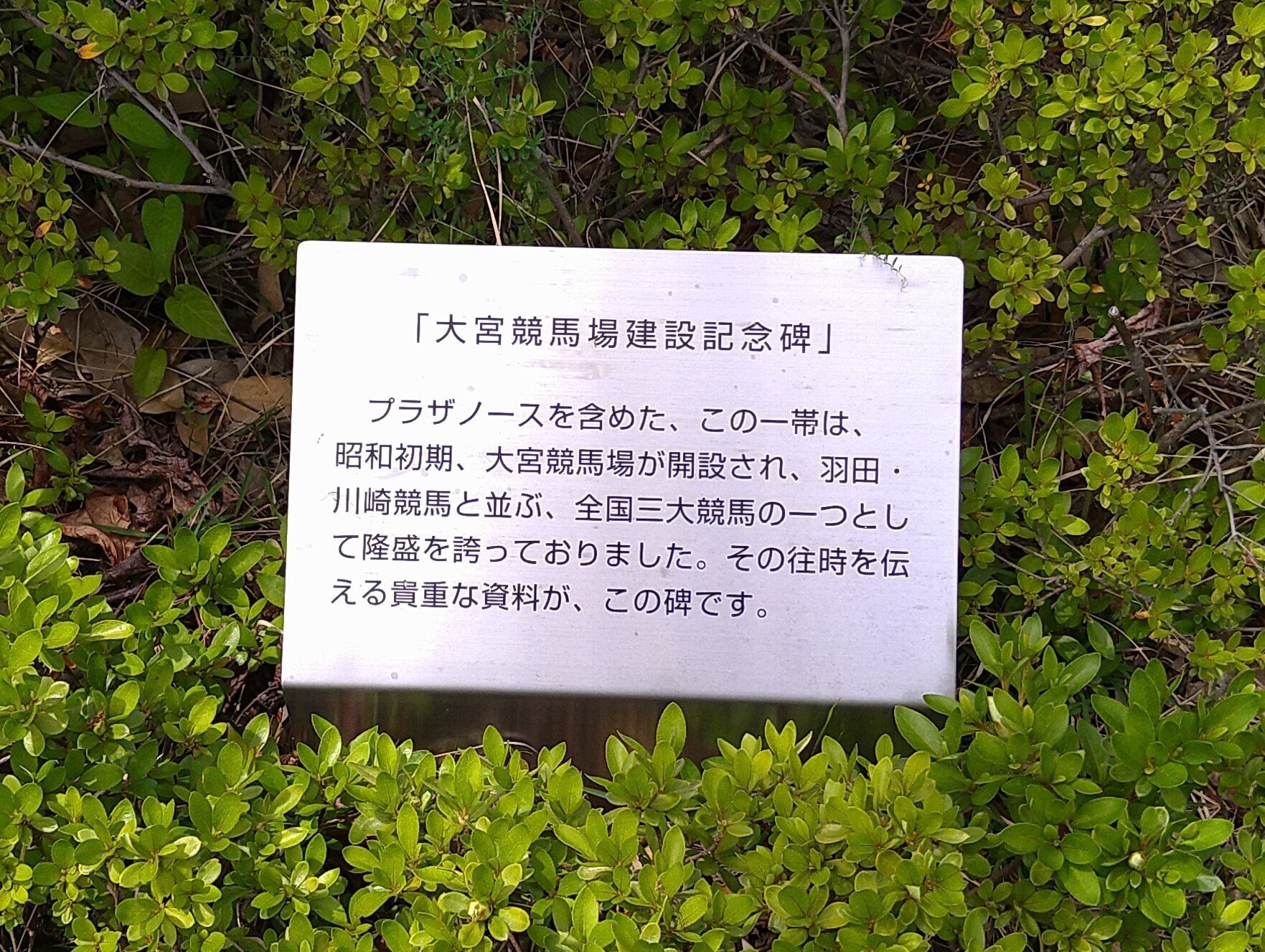 埼玉】大宮にあった競馬の灯火｜羽田博泰