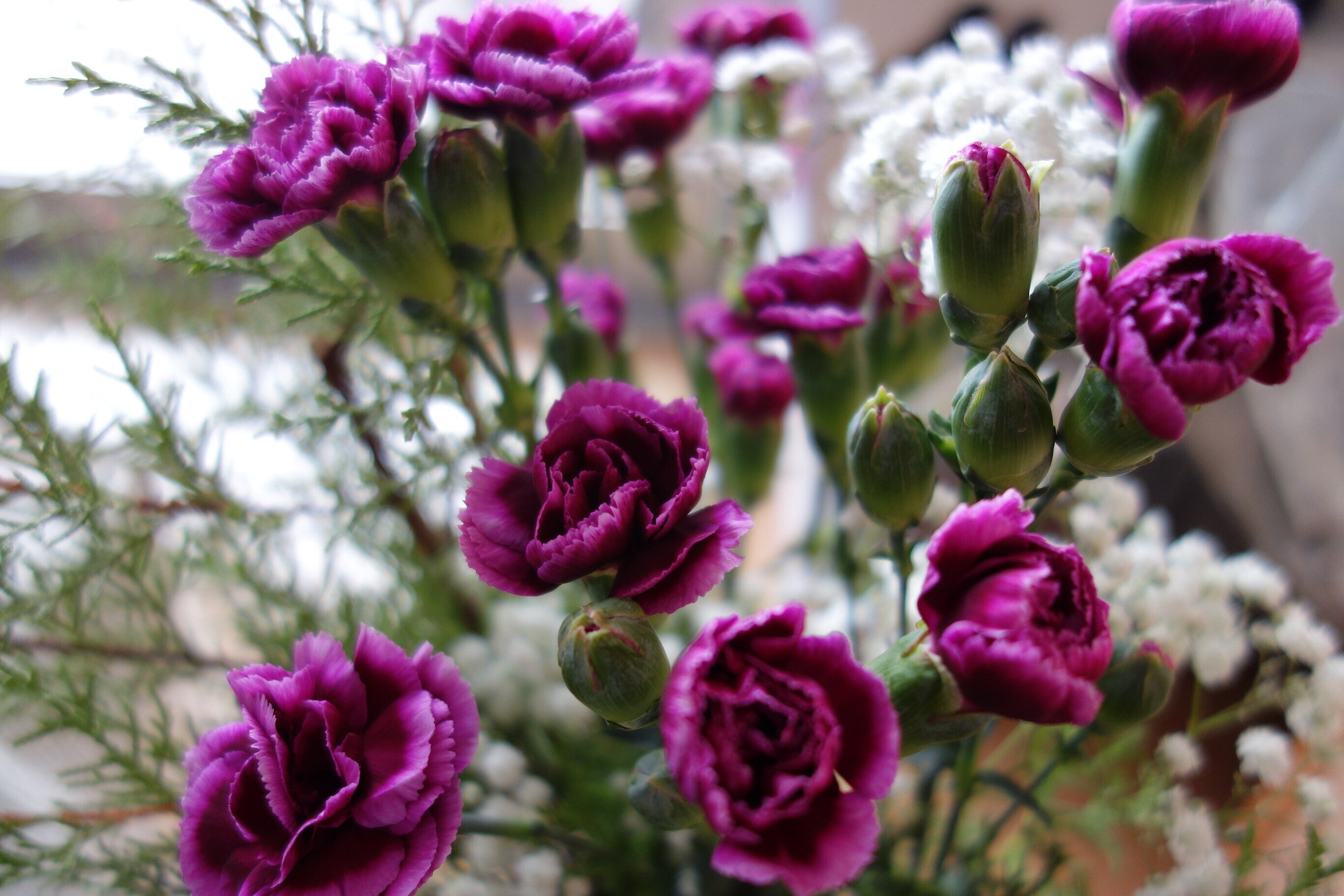 一足早いhappy Mother S Day Kikko Yy Note
