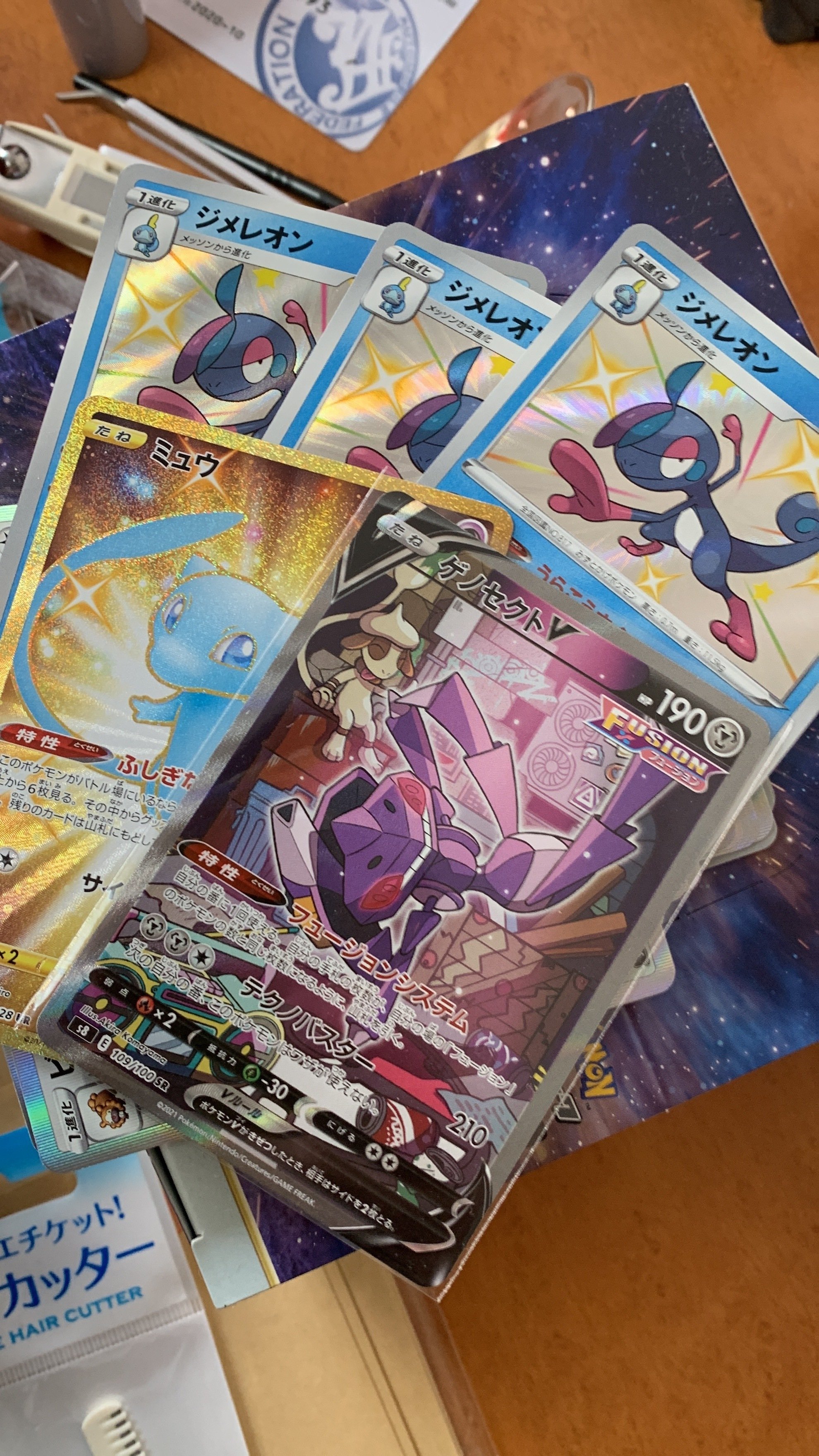 ポケカ？】人の家のポケモンカードを整理してきた話_2022/05/07【日記
