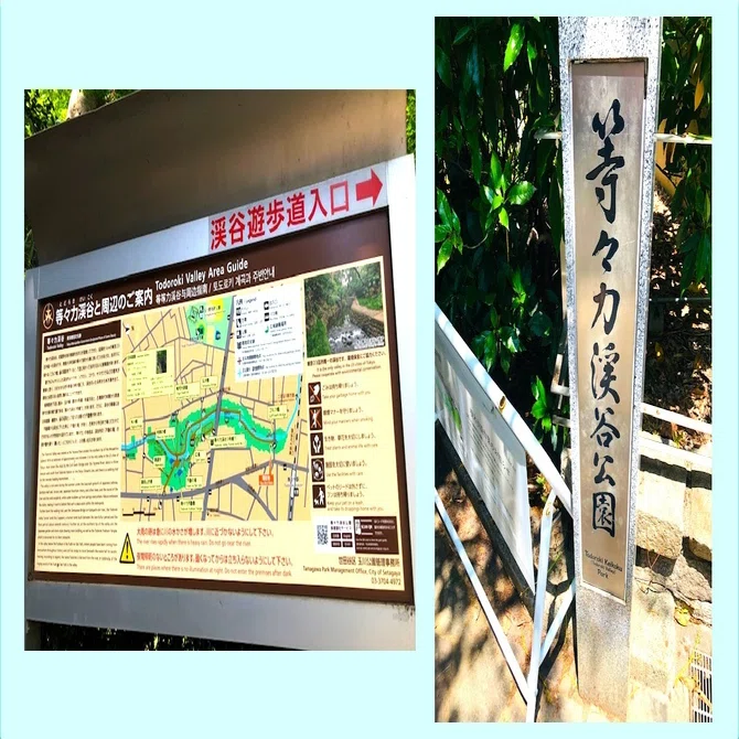 等々力渓谷 竹芝の魅力 街歩き Michiくりころころ Note