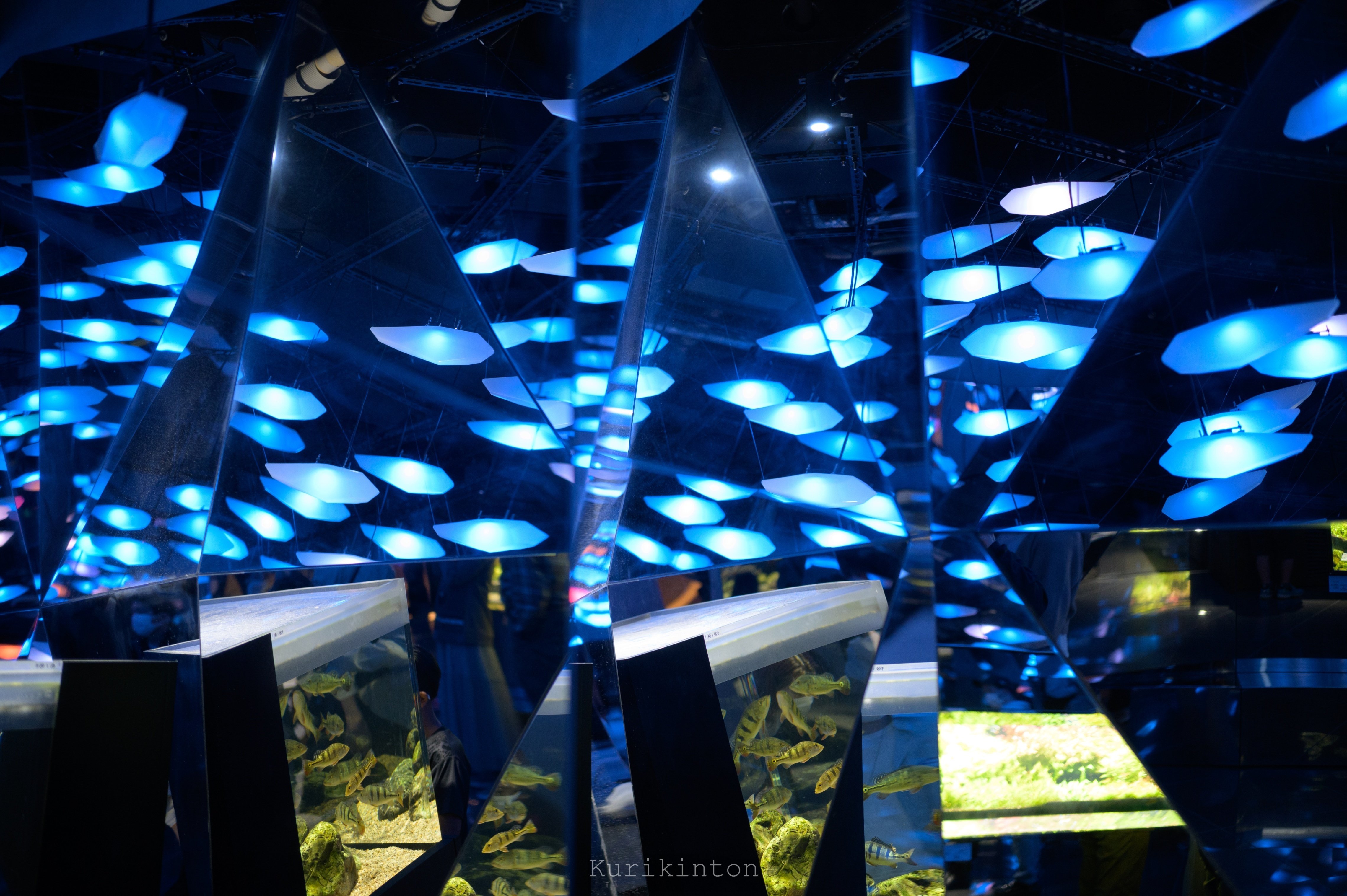 2022年GW：神戸 都市型水族館AQUARIUM ×ART átoa｜栗きんとん