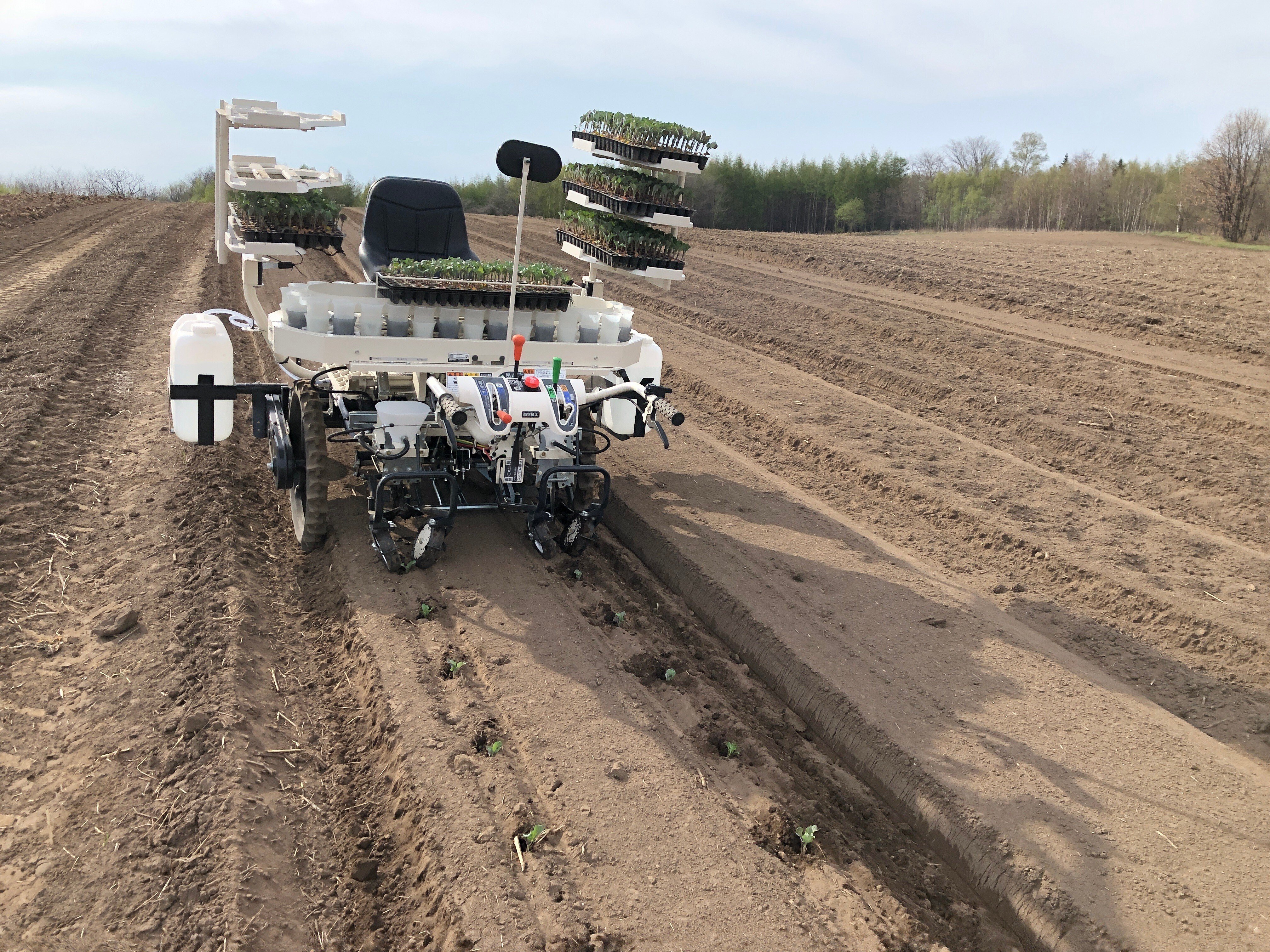 乗用型半自動野菜移植機でナウエルナナでバッチリだった〜レビュー