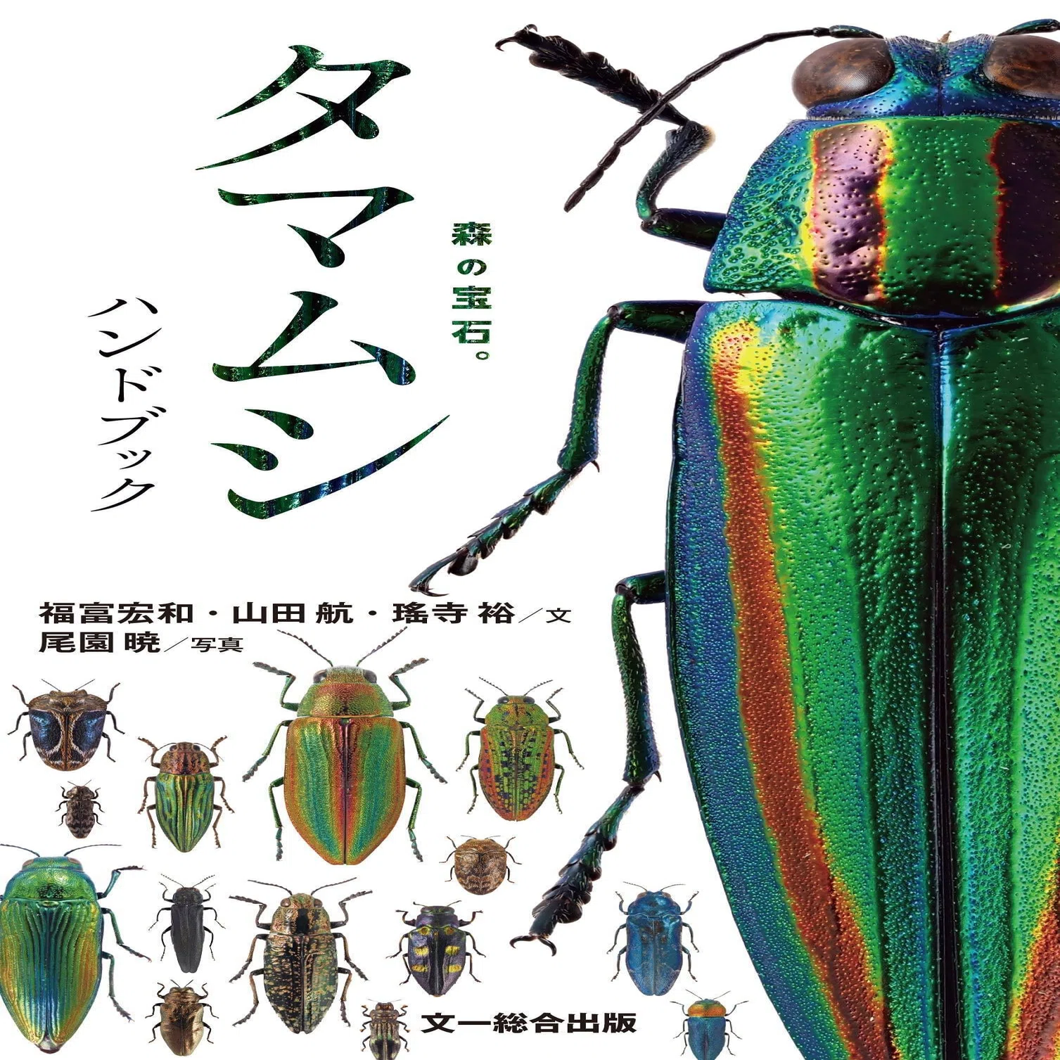 タマムシハンドブック（タマハン）ができるまで｜ブンイチ（文一総合出版）
