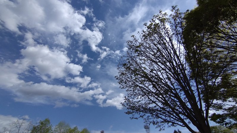 公園で撮った1枚。天気も良くお散歩も気持ちいい。4月の空。