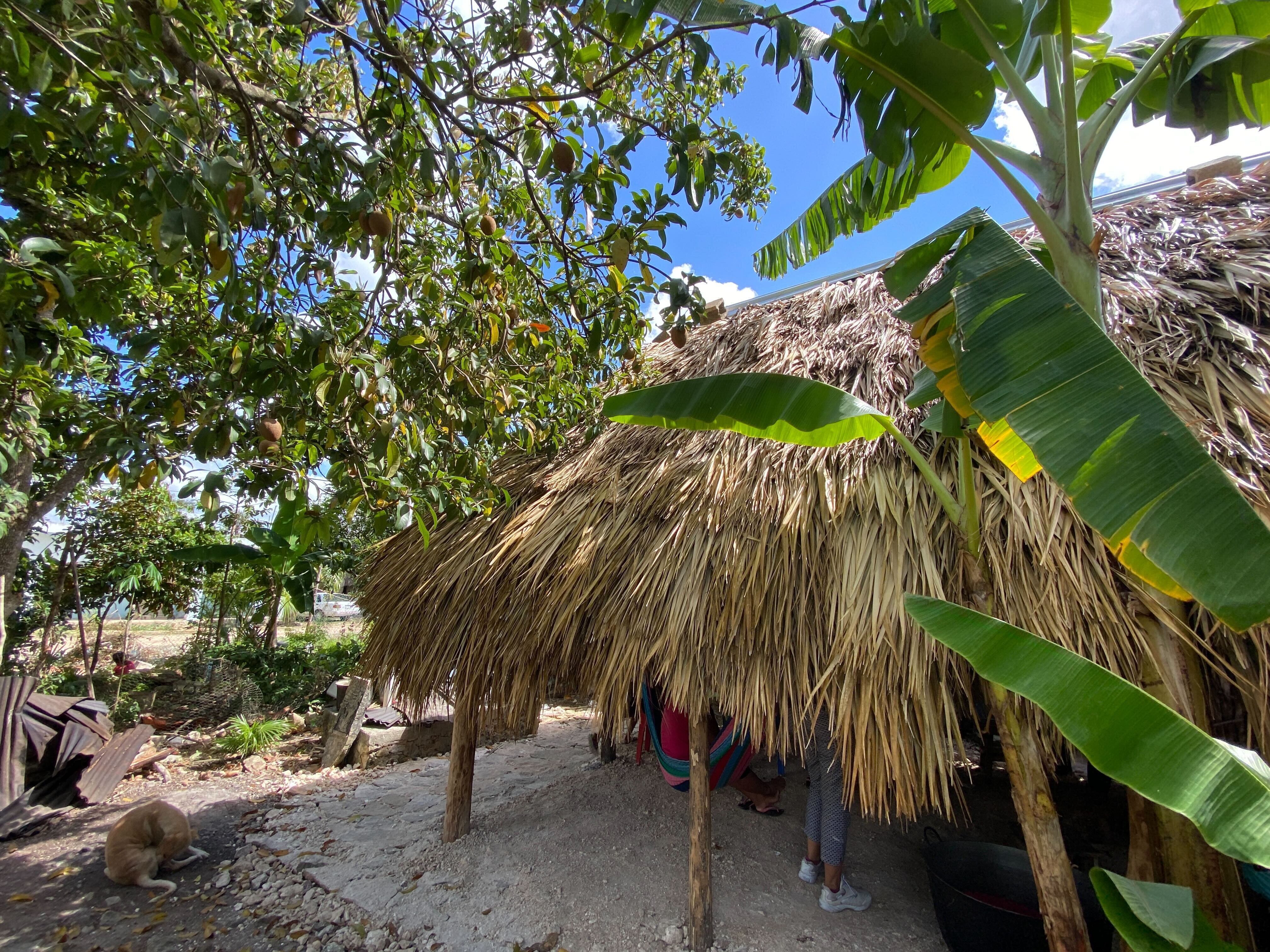 マヤの歴史に触れる｜MAYA MEXICO