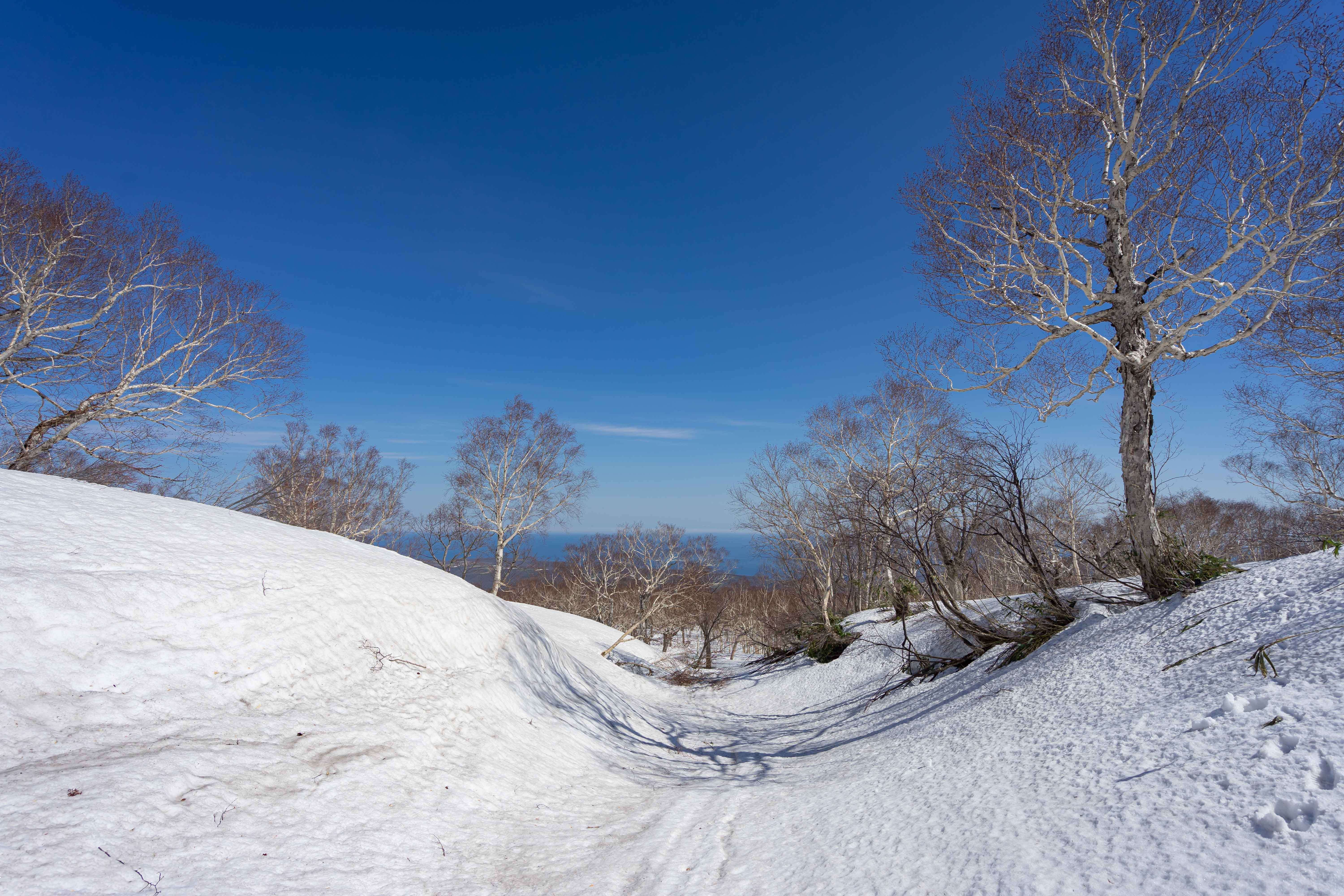 北海道の雪 80 vehicles buried in snow; Sapporo taxi company suspends