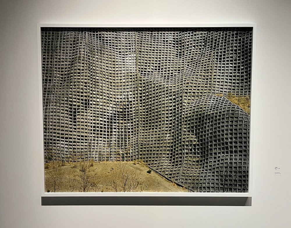 学芸員、アーティゾンへ行く ［しびれた！柴田敏雄と鈴木理策展
