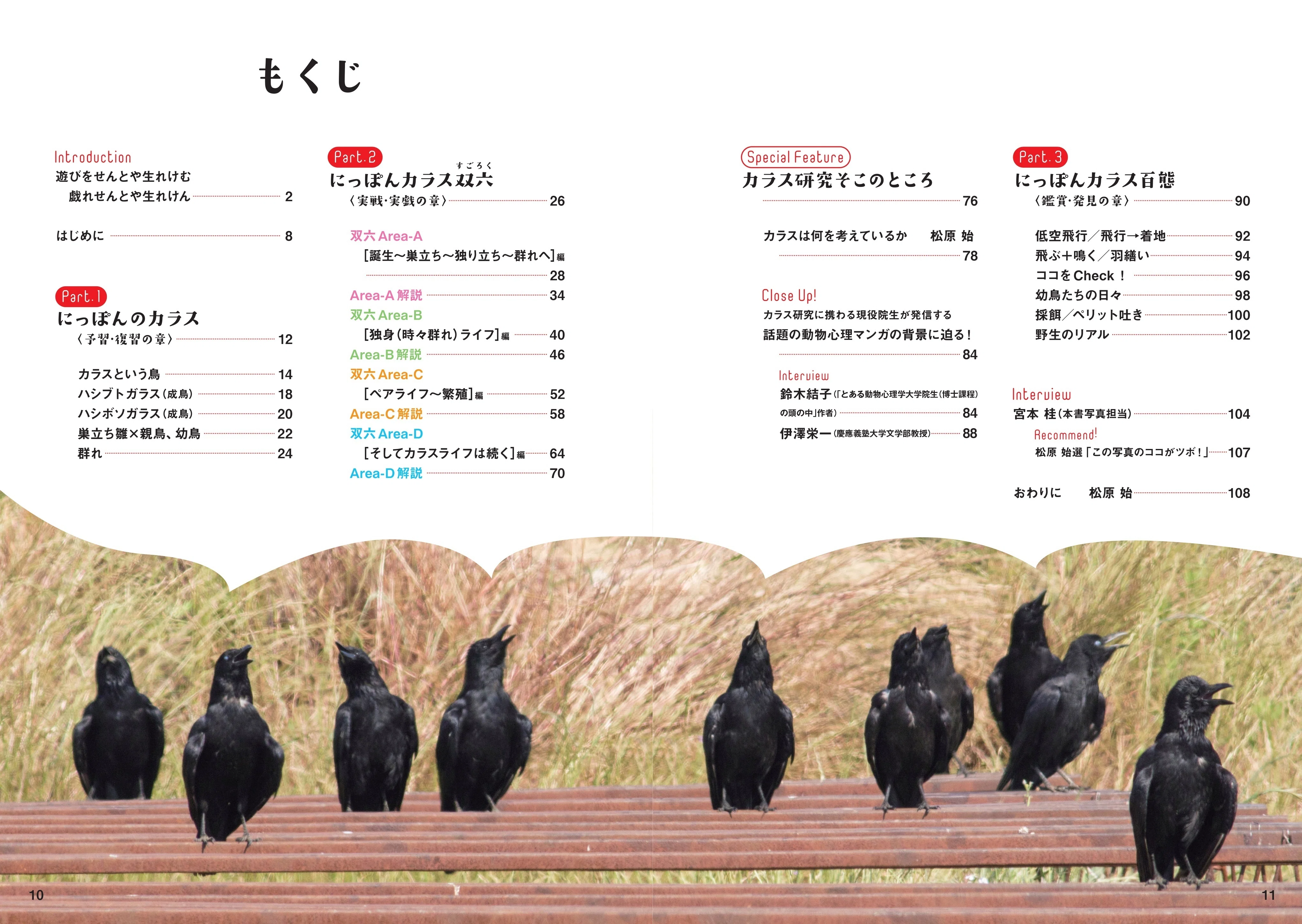 日本でよく見るカラス「ハシブトとハシボソ」。その特徴とは？ 新刊