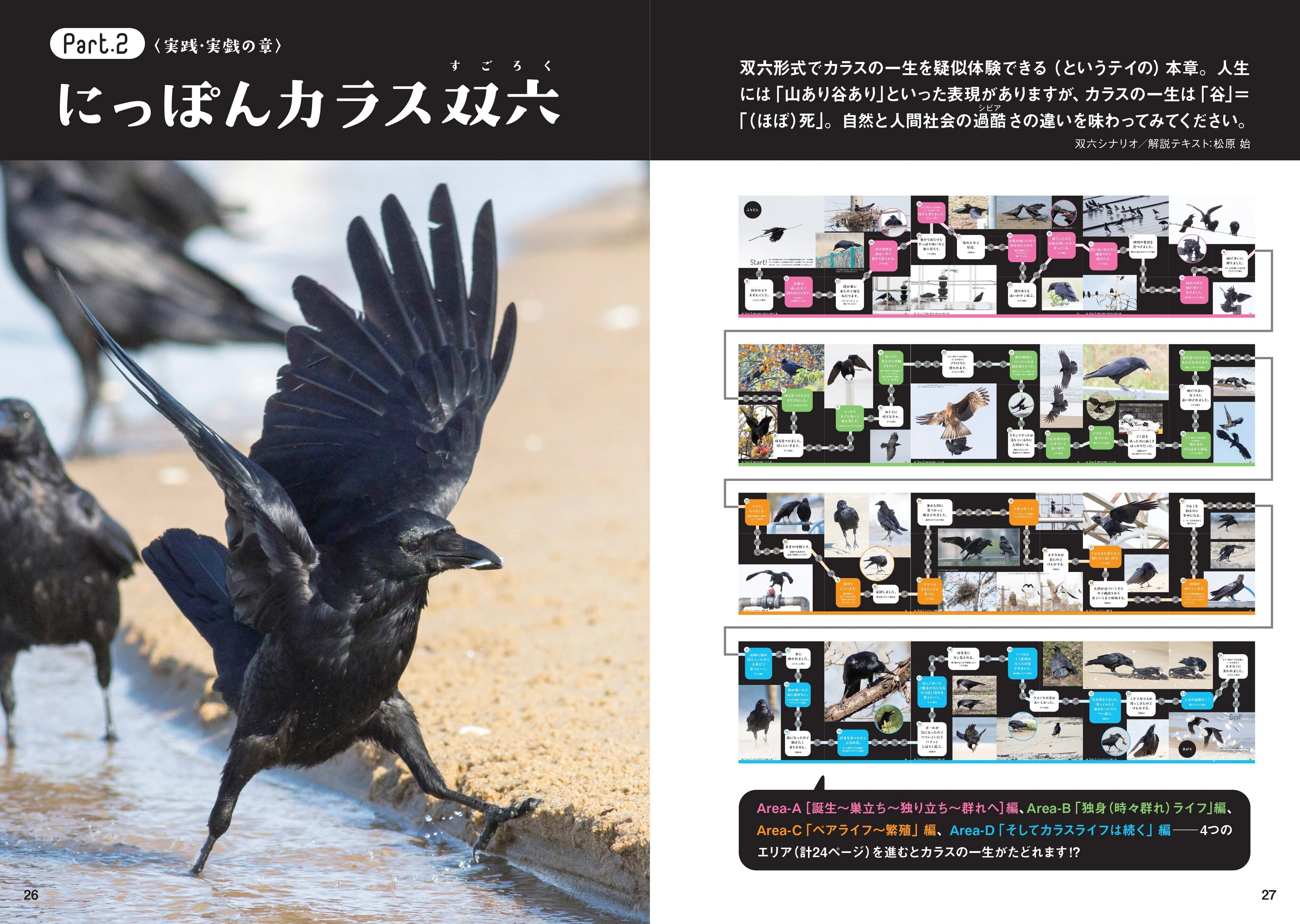 日本でよく見るカラス「ハシブトとハシボソ」。その特徴とは？ 新刊