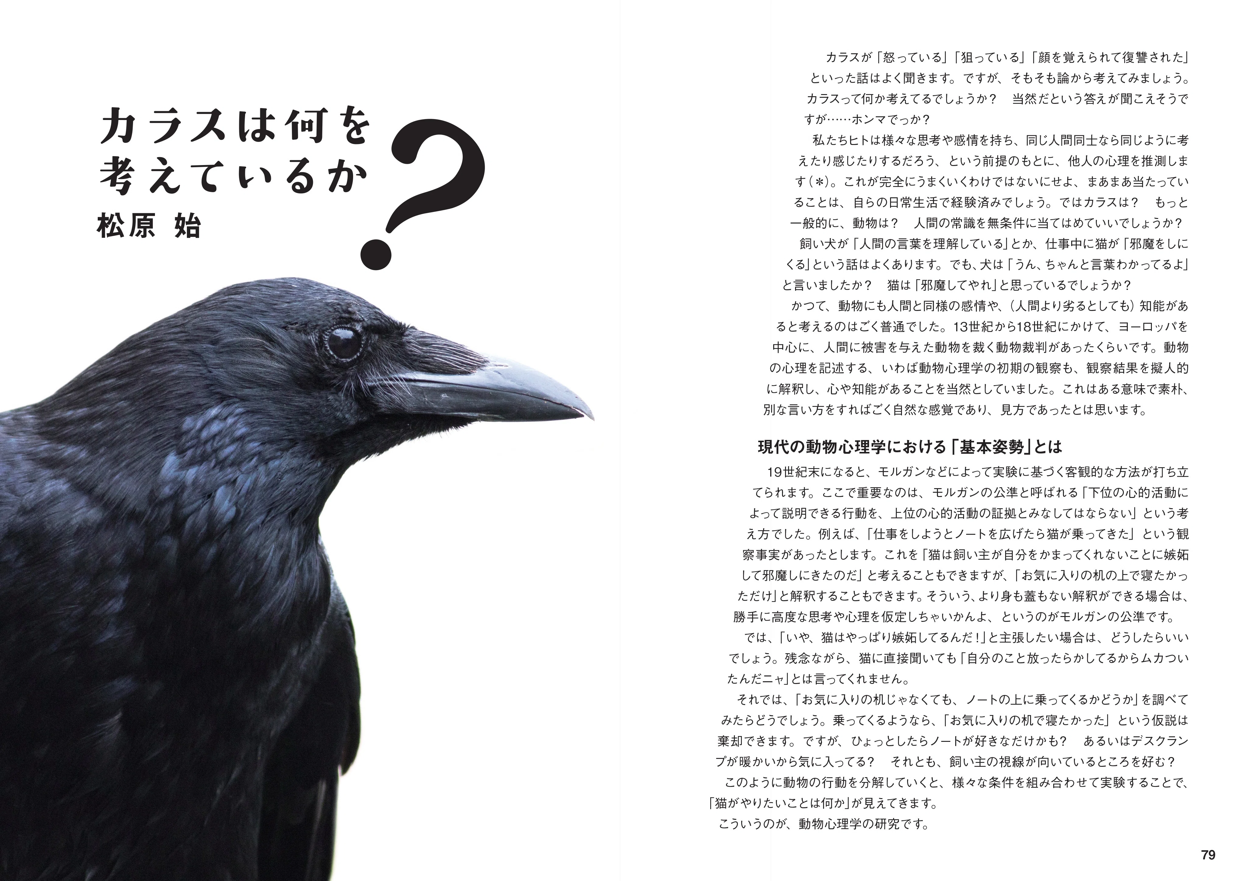 日本でよく見るカラス「ハシブトとハシボソ」。その特徴とは？ 新刊