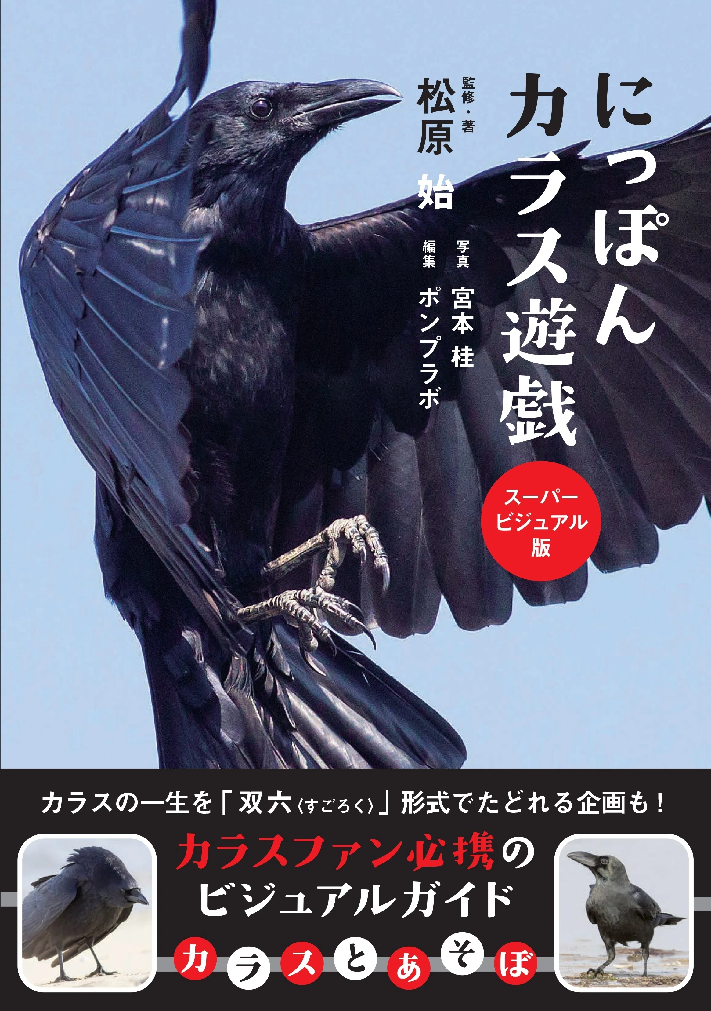 日本でよく見るカラス「ハシブトとハシボソ」。その特徴とは？ 新刊