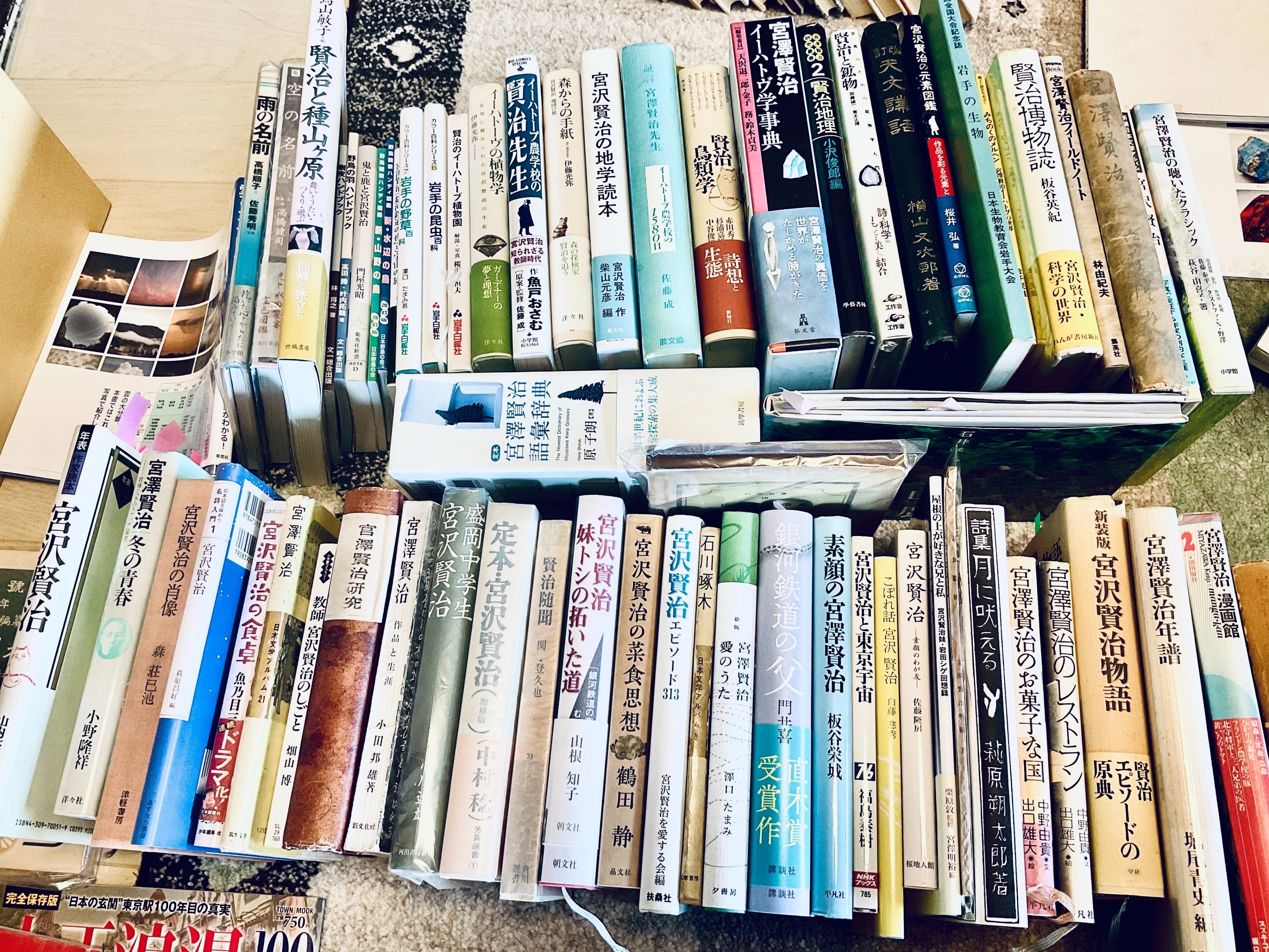 文字禍 (立東舎 乙女の本棚) | 中島 敦, しきみ |本 | 通販 | Amazon