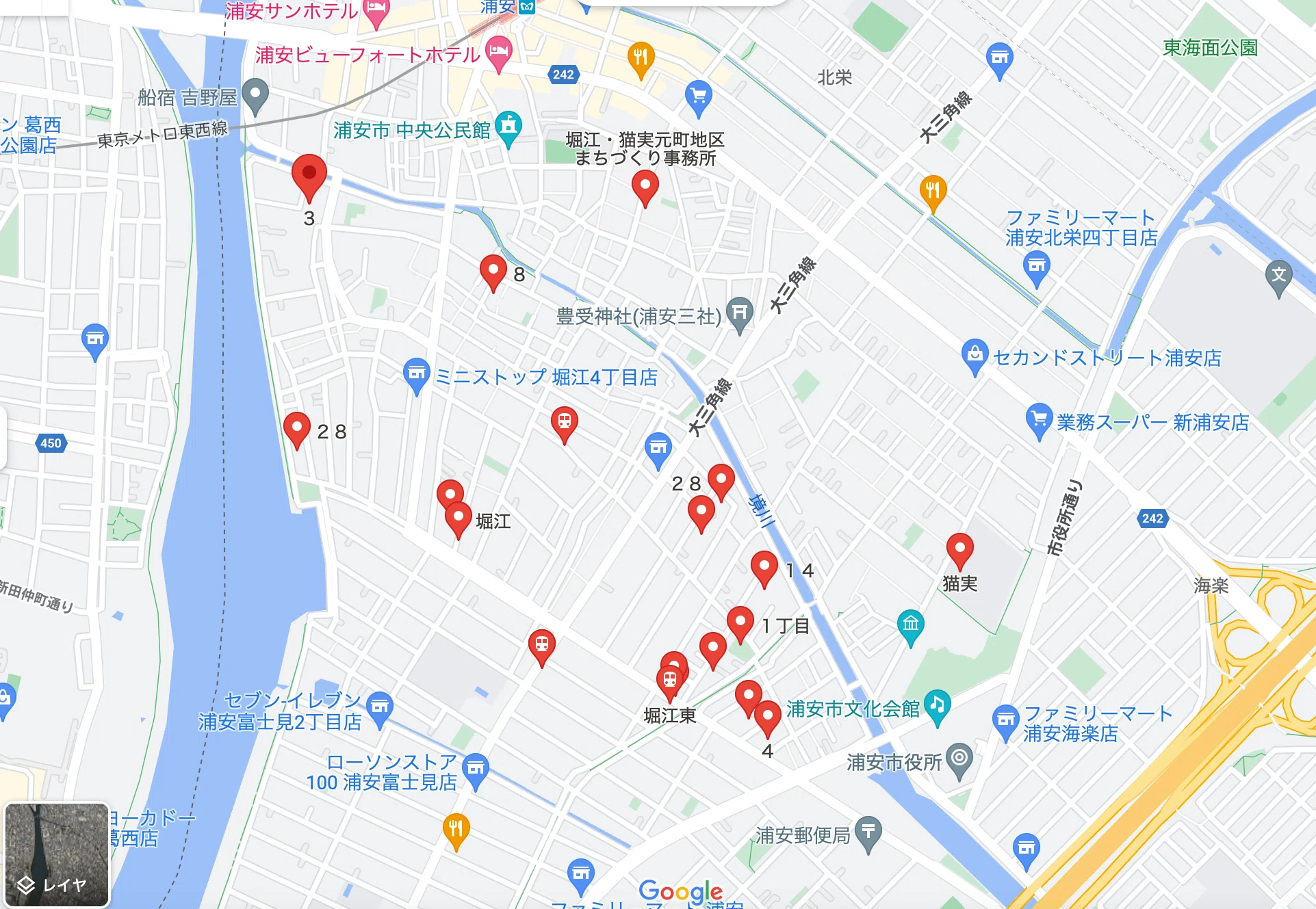 堀江ねこざね」−強く生きてほしいという他人事のような願い−『名所 