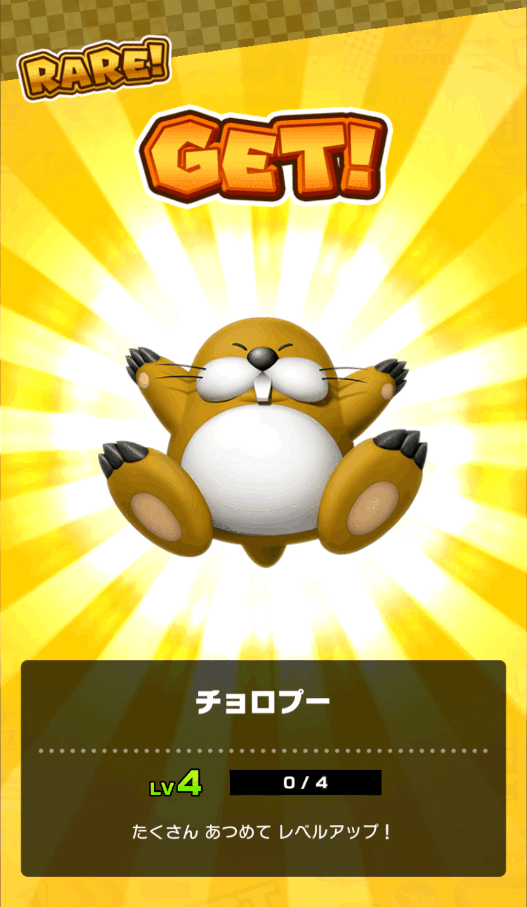 マリカツの近況―ドクターツアー編―｜ルイ