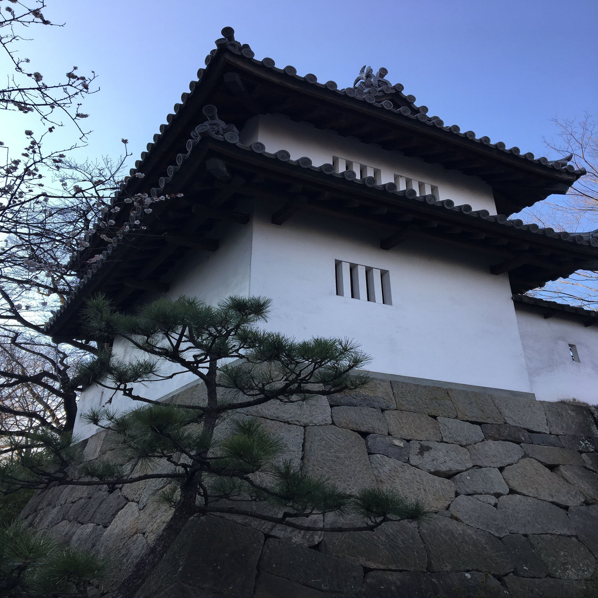 旧中山道歩き41 6日目 高崎城とだるまさんと江戸時代の物貰い いりの Note