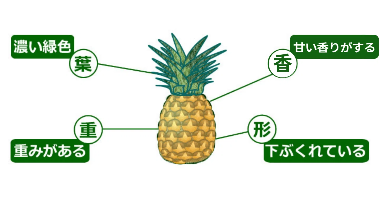 美味しい パイナップル 見分け 方