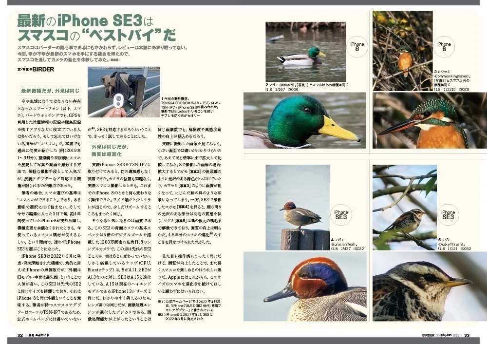 BIRDER6月号の見どころ｜ブンイチ（文一総合出版）