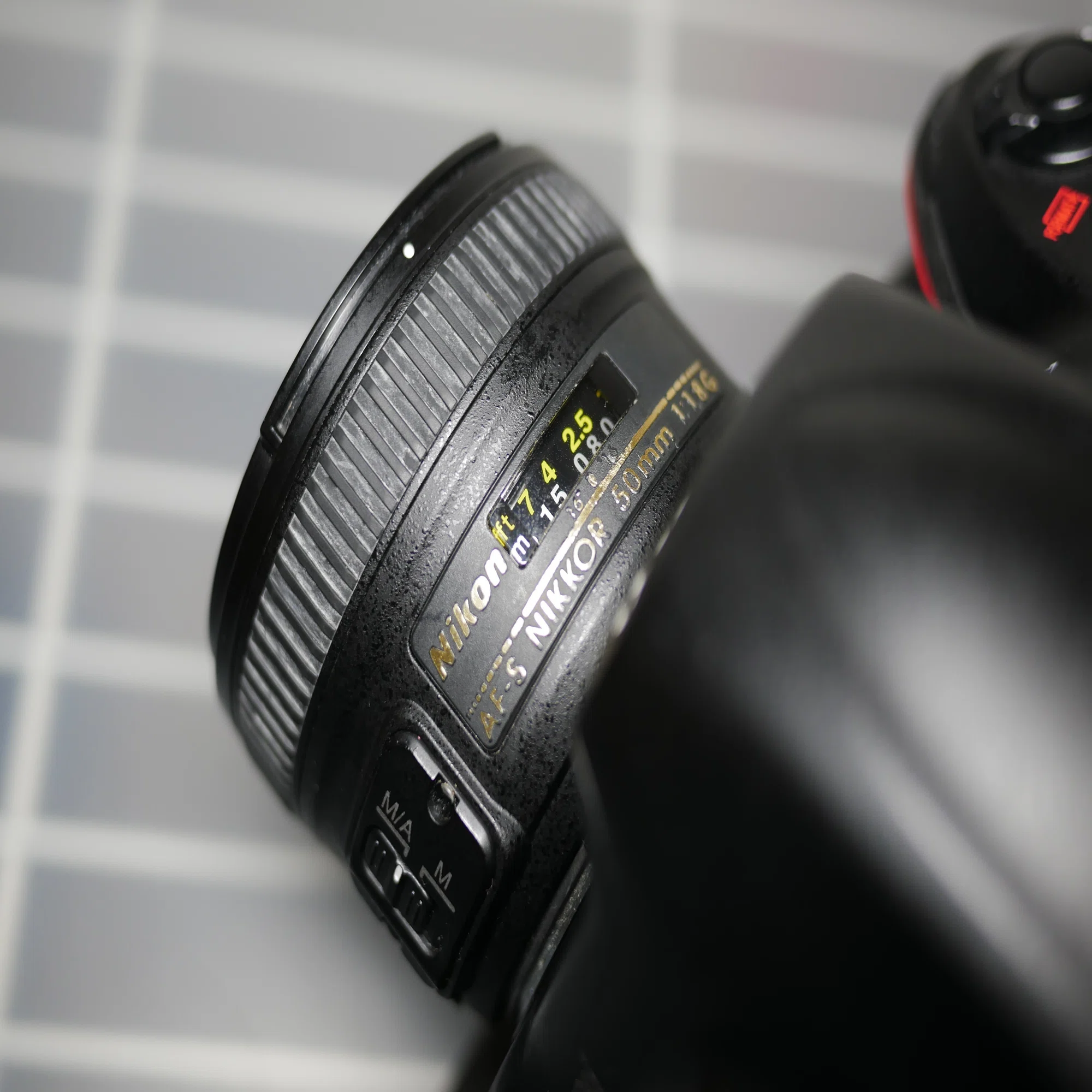 レンズレビュー】AF-S NIKKOR 50mm F1.8G｜鷺