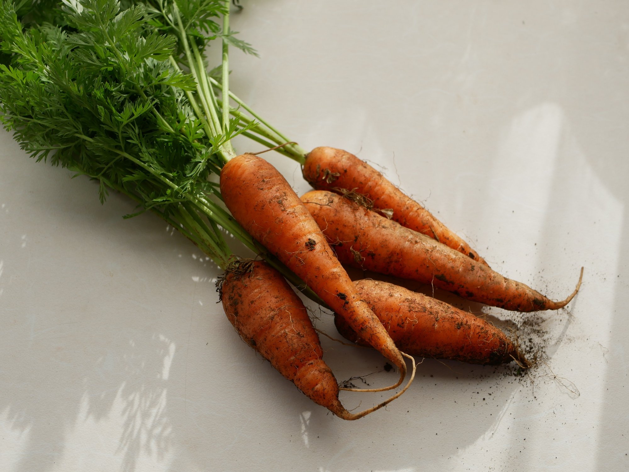 じっくり味に向かい合う にんじんの塩スープ 有賀 薫 Note じっくり味に向かい合う にんじんの塩スープ 有賀 薫 Note