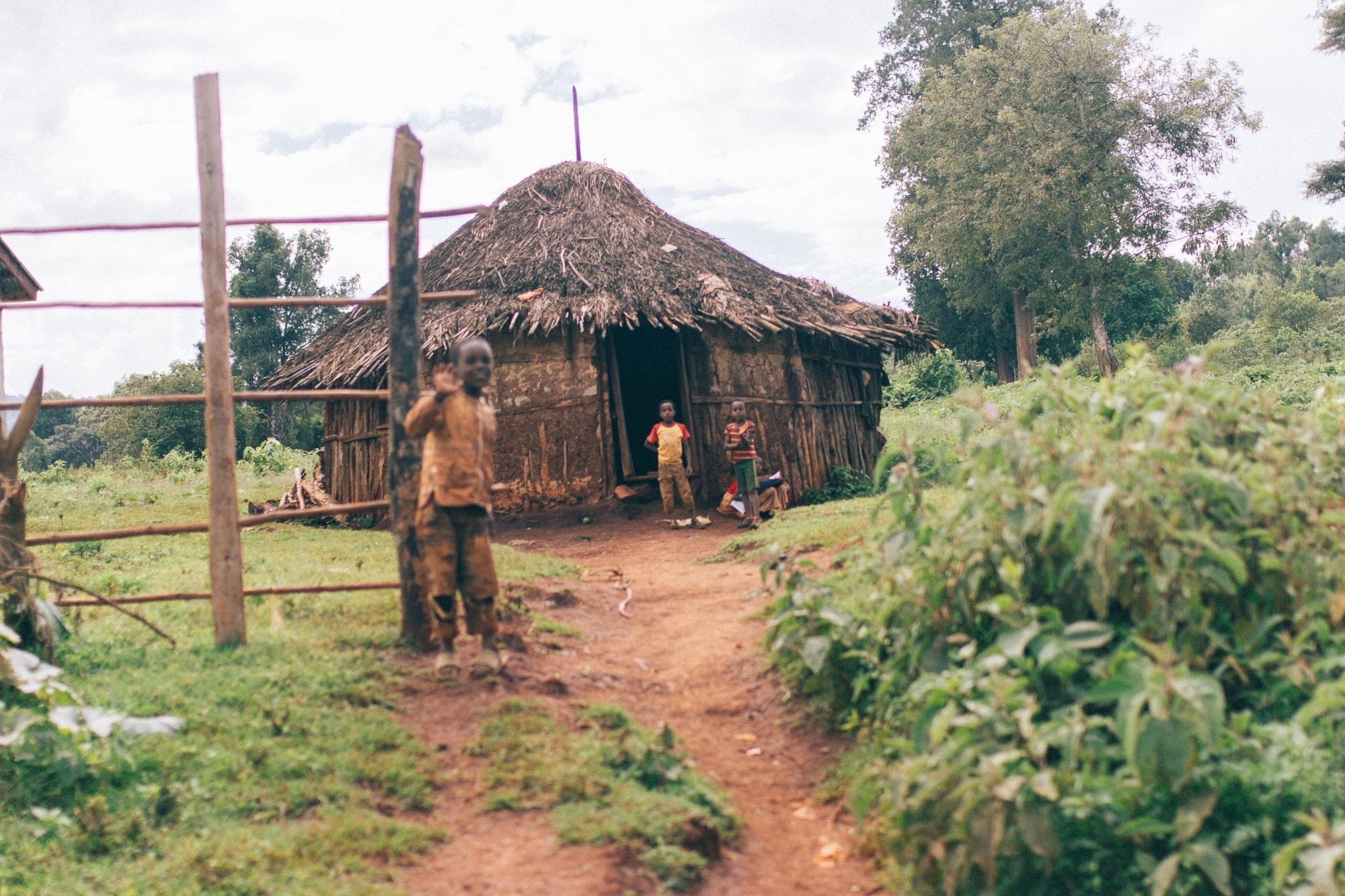 コーヒー農園に行く方法 川野優馬 Light Up Coffee Note コーヒー農園に行く方法 川野優馬 Light Up Coffee Note