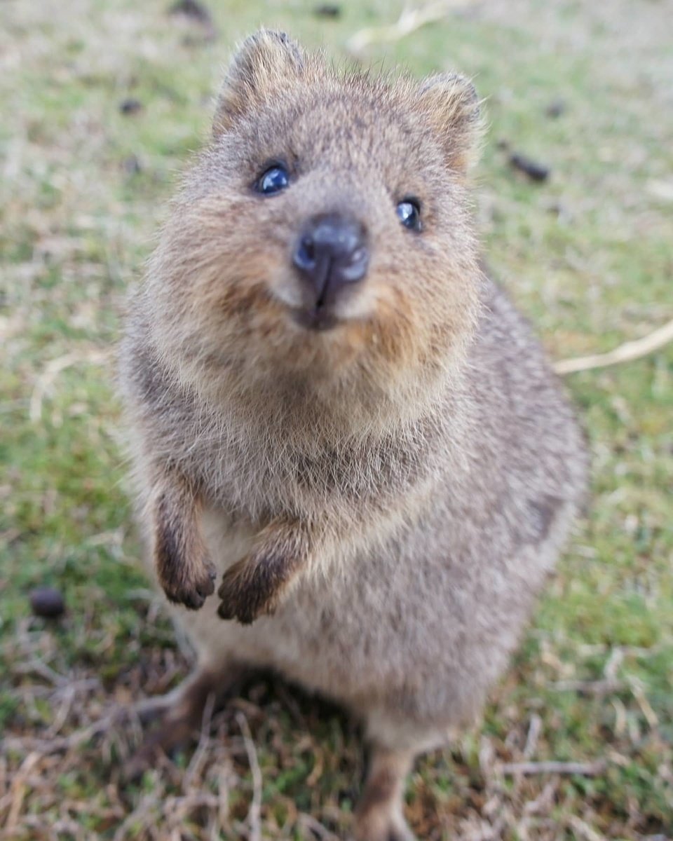 自己紹介 ノートマニア M Note 自己紹介 ノートマニア M Note