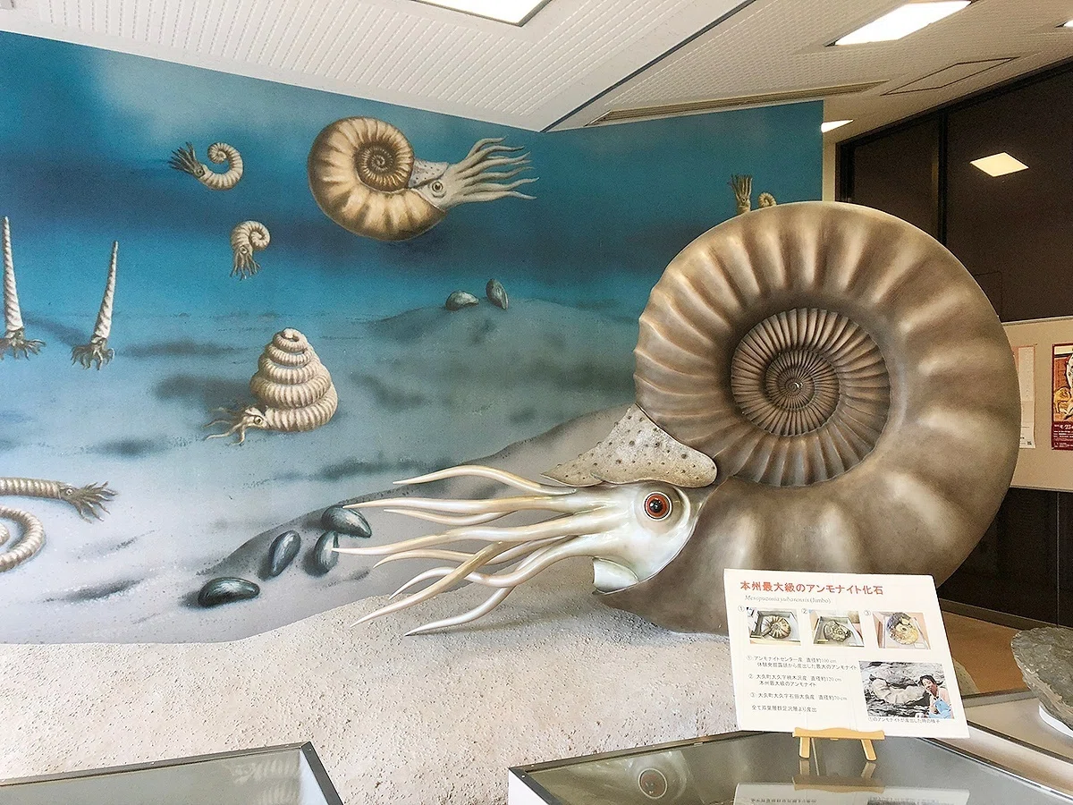 化石発掘体験！白亜紀の地層を掘ってみました｜化石ショップ◎エルフード