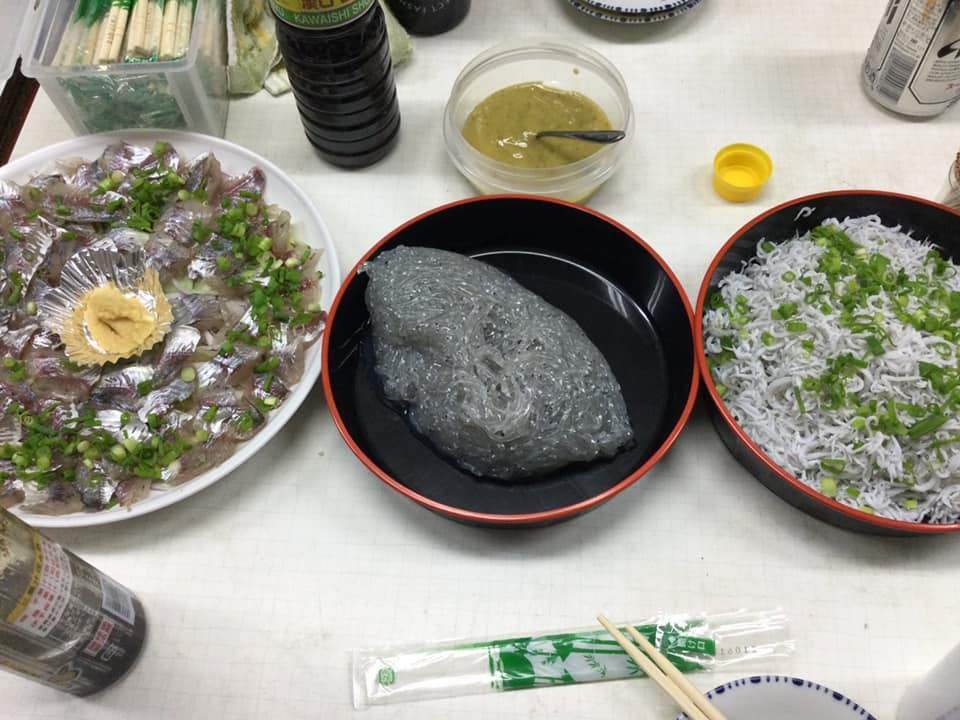 海と太陽の間　佐田岬半島の人々・風土　 新田好 佐田岬半島ミュージアム開館記念 昭和の佐田岬半島ドキュメント