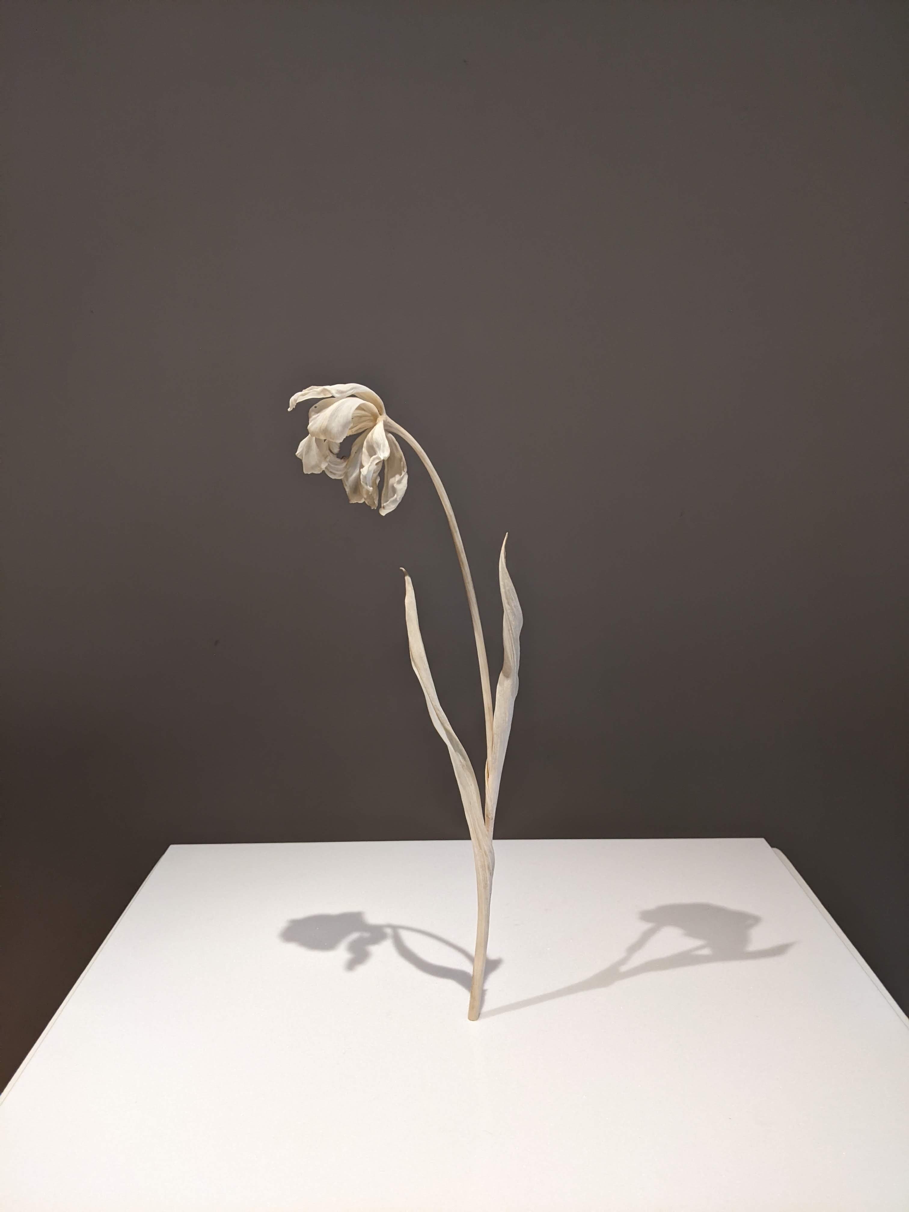 橋本雅也 作品集出版記念展 間（あわい）なるもの｜一山青