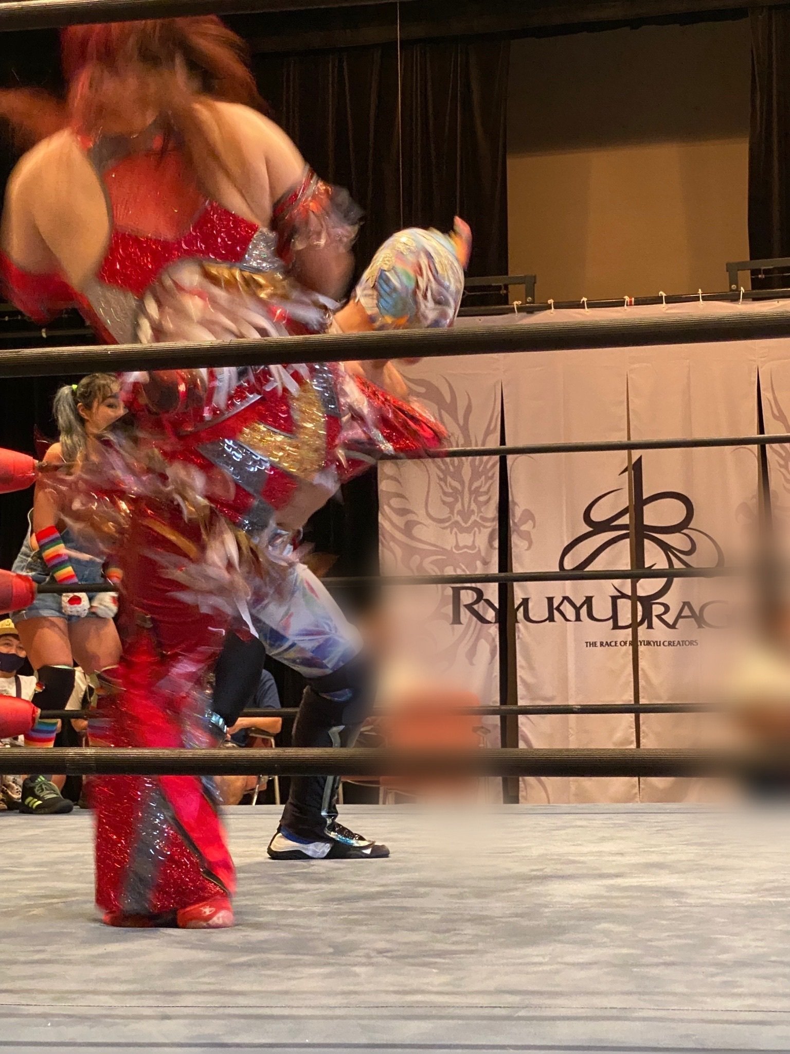 琉球ドラゴンプロレス グルクンマスク選手HG応援用マスク2枚+子供用応援マスク 琉球ドラゴンプロレス グルクンマスク選手HG応援用マスク2枚+子供用応援
