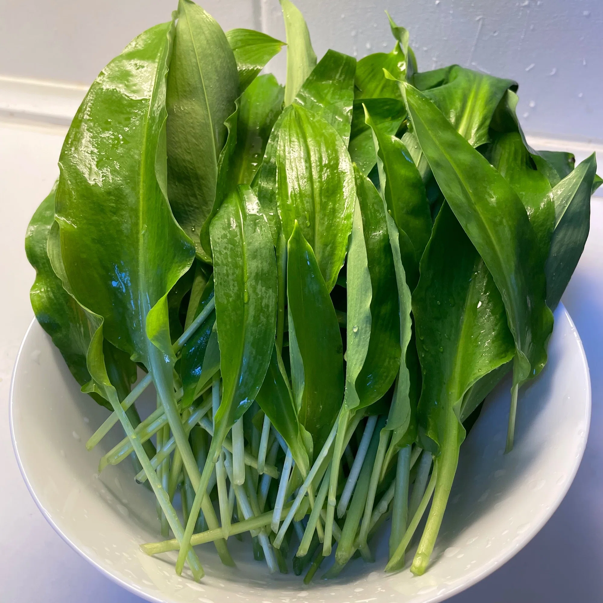摘みたてのニラで「レバニラ定食」にチャレンジ! - Living in Denmark
