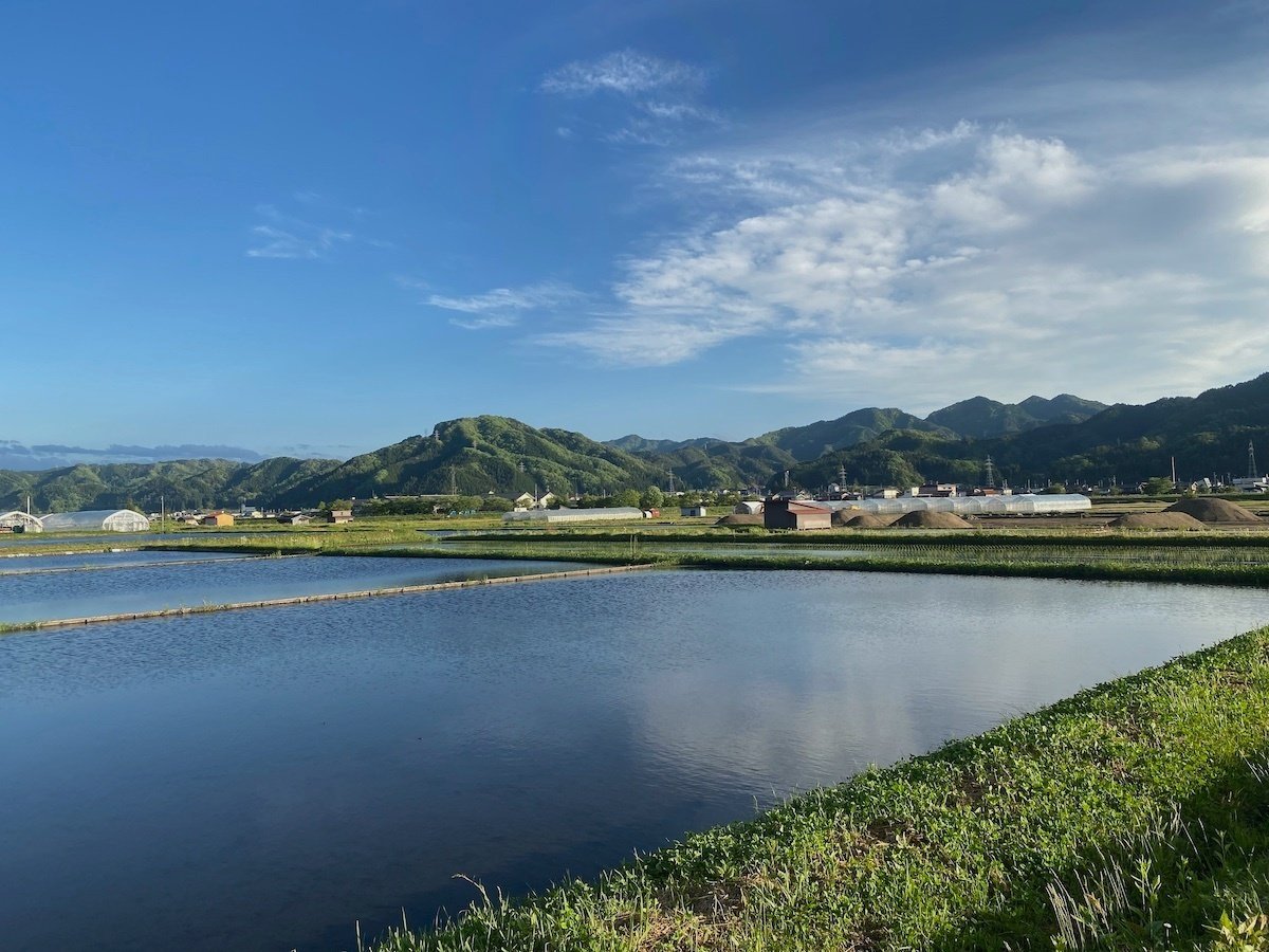 日々の暮らしに薬草を 飛騨さんぽ ほんのひととき Note 日々の暮らしに薬草を 飛騨さんぽ ほんのひととき Note