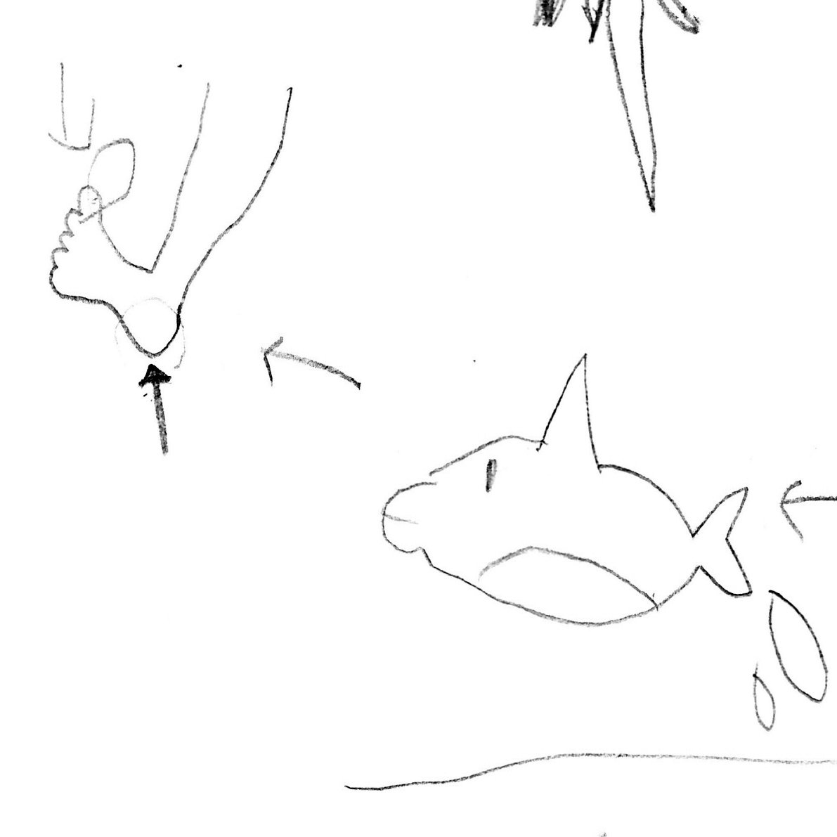 子どもと絵しりとりやったら超面白かったから見て 水谷アス Note