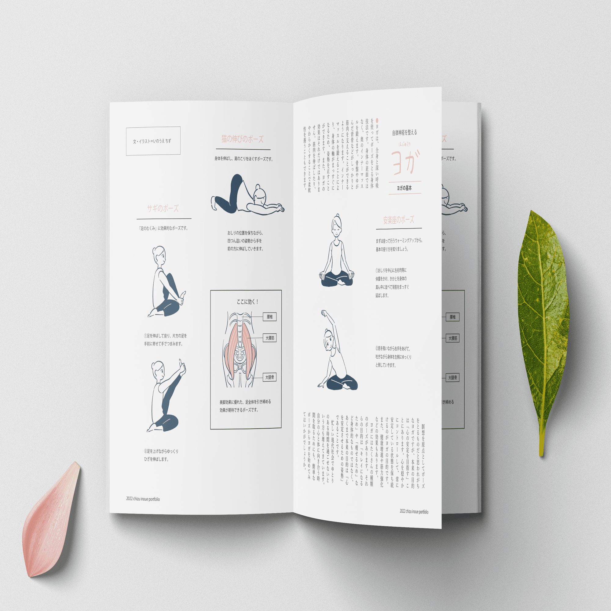 イラストポートフォリオ パンフレット 雑誌のモックアップをつくりました いのうえ ちず イラストレーター Note