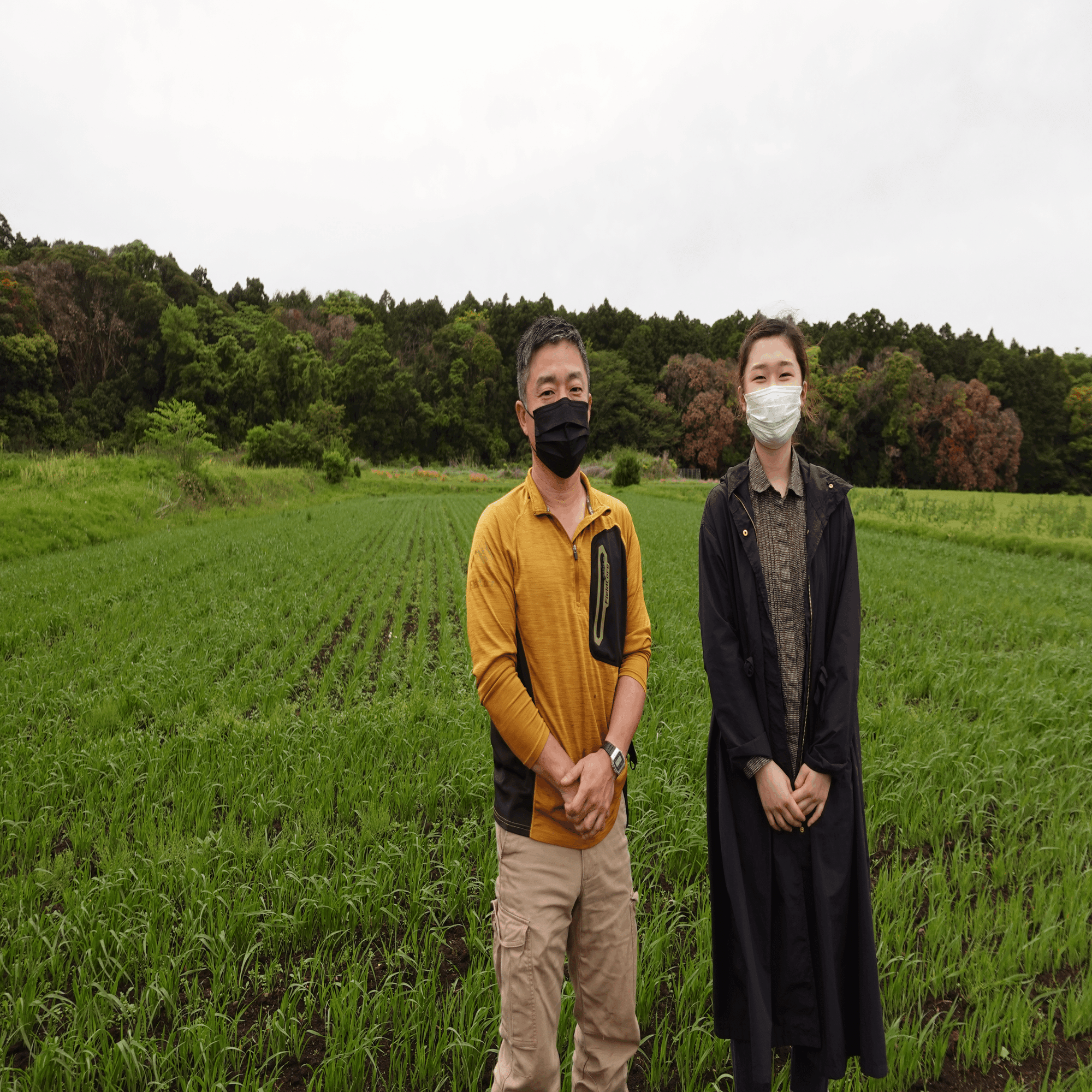 小糸在来(R)と農業のこれから～君津の宮本農業さんにインタビュ