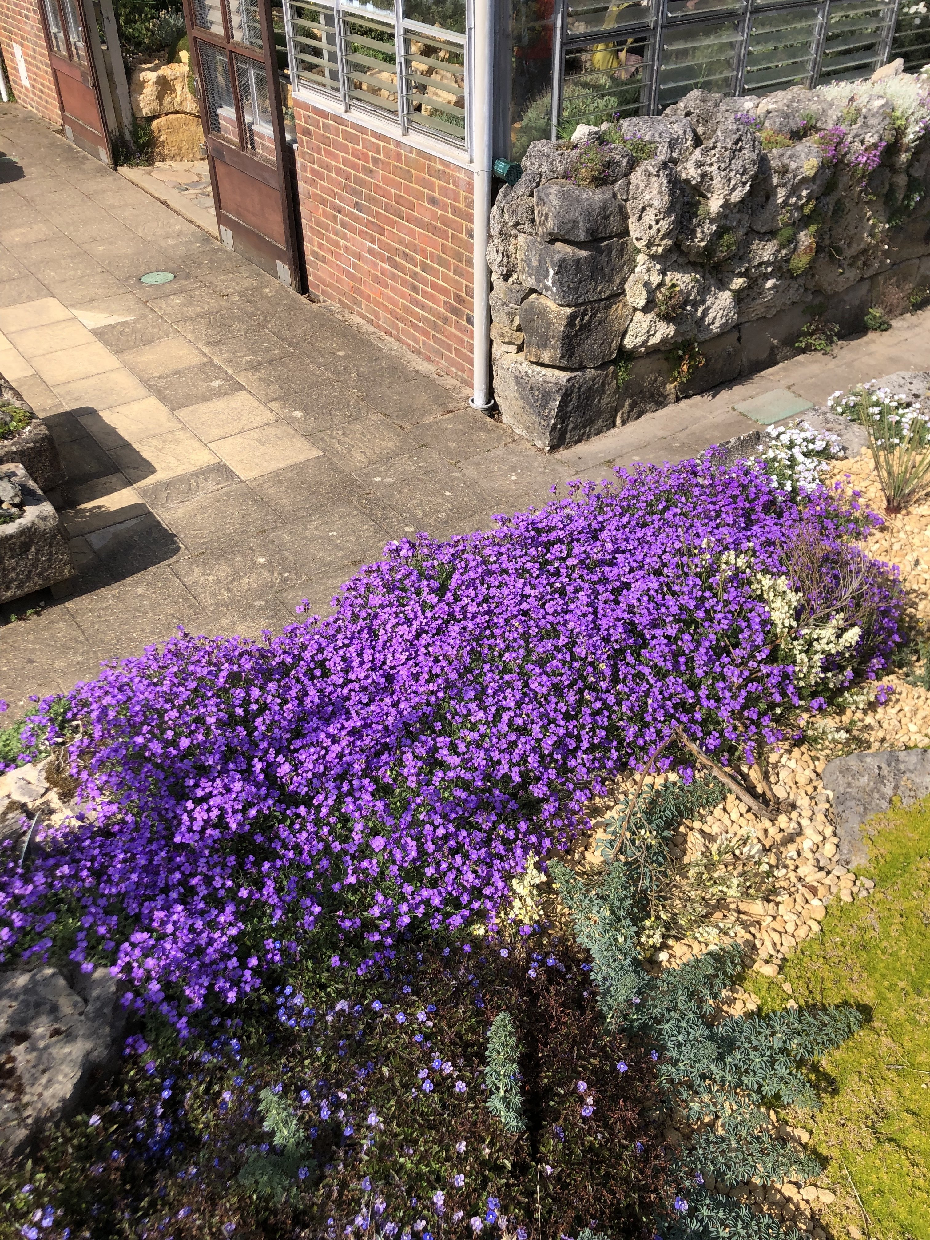 Uk Photos Rhs Wisley Garden 3 Ted2lasvegas Note