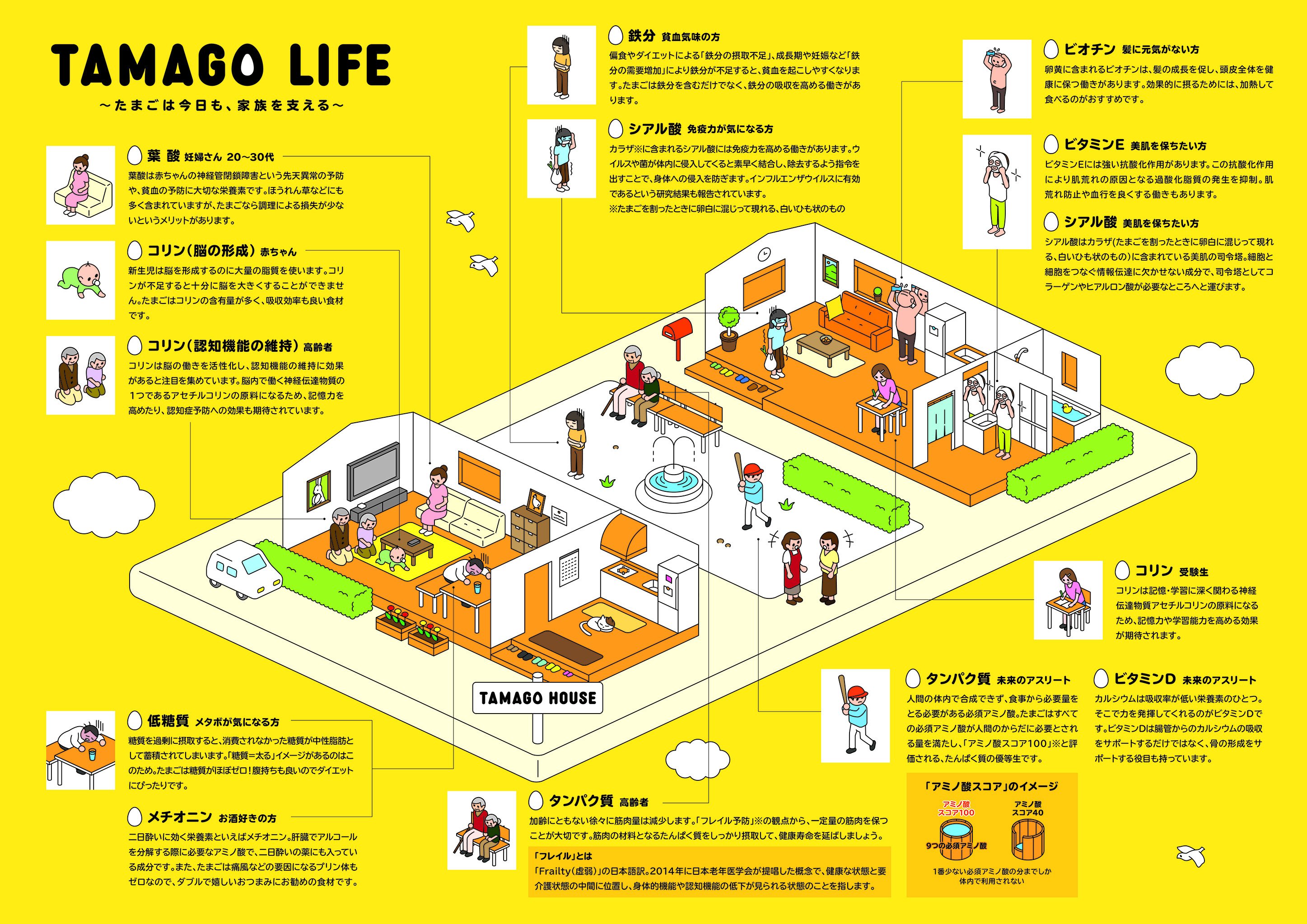 いまさらですが…わたし、卵のこと知って「卵のある生活」始めました