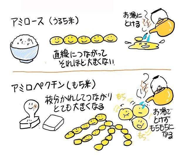柏餅をつくろう【書く習慣・DAY12】｜梅ちゃん