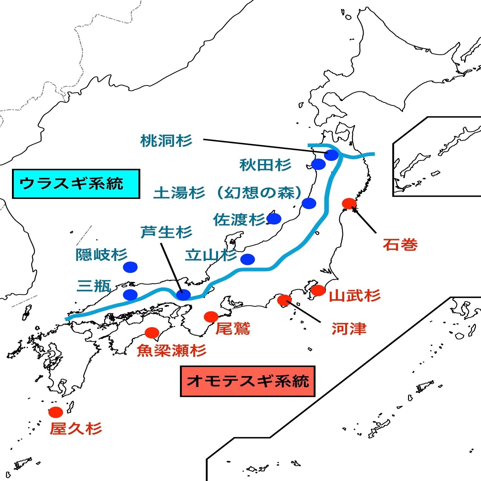 東北フォレストジャーニー その６ 幻想の森 不気味さと美しさは紙一重 Harunire0321 Note