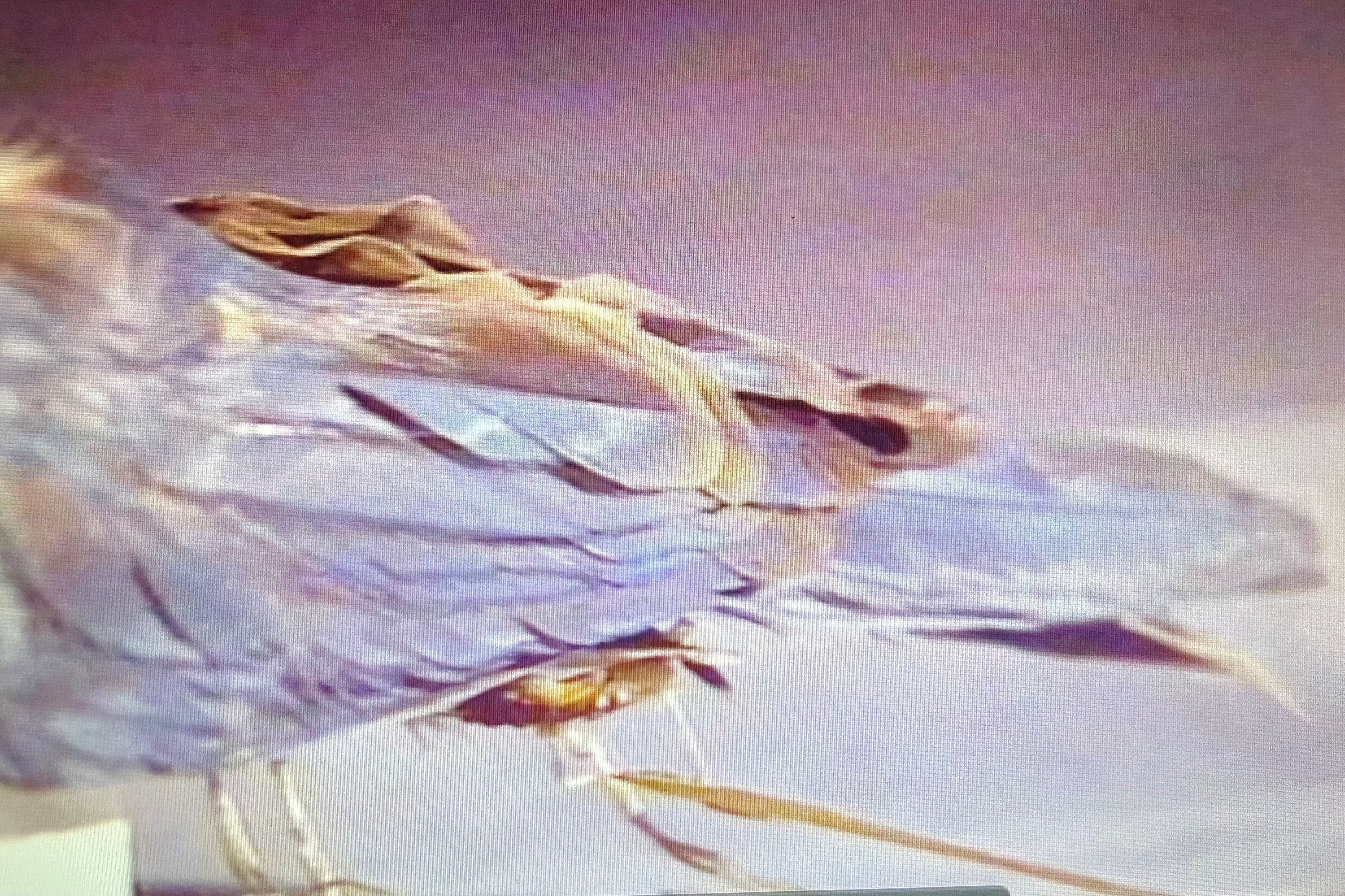 ミヤコショウビン　木彫り ミヤコショウビン 木彫り