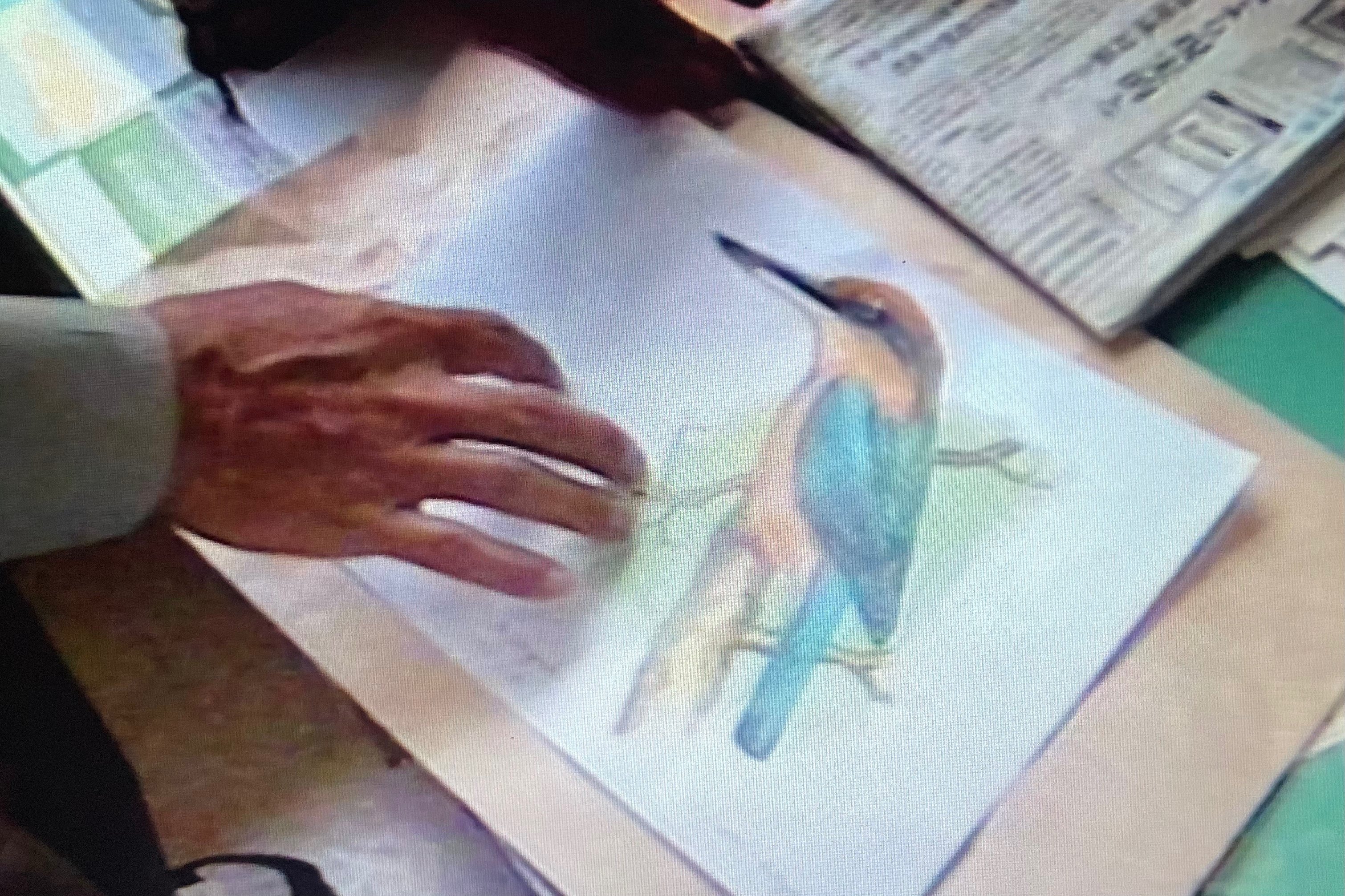 幻の鳥に出会えた、あの頃。｜coburu