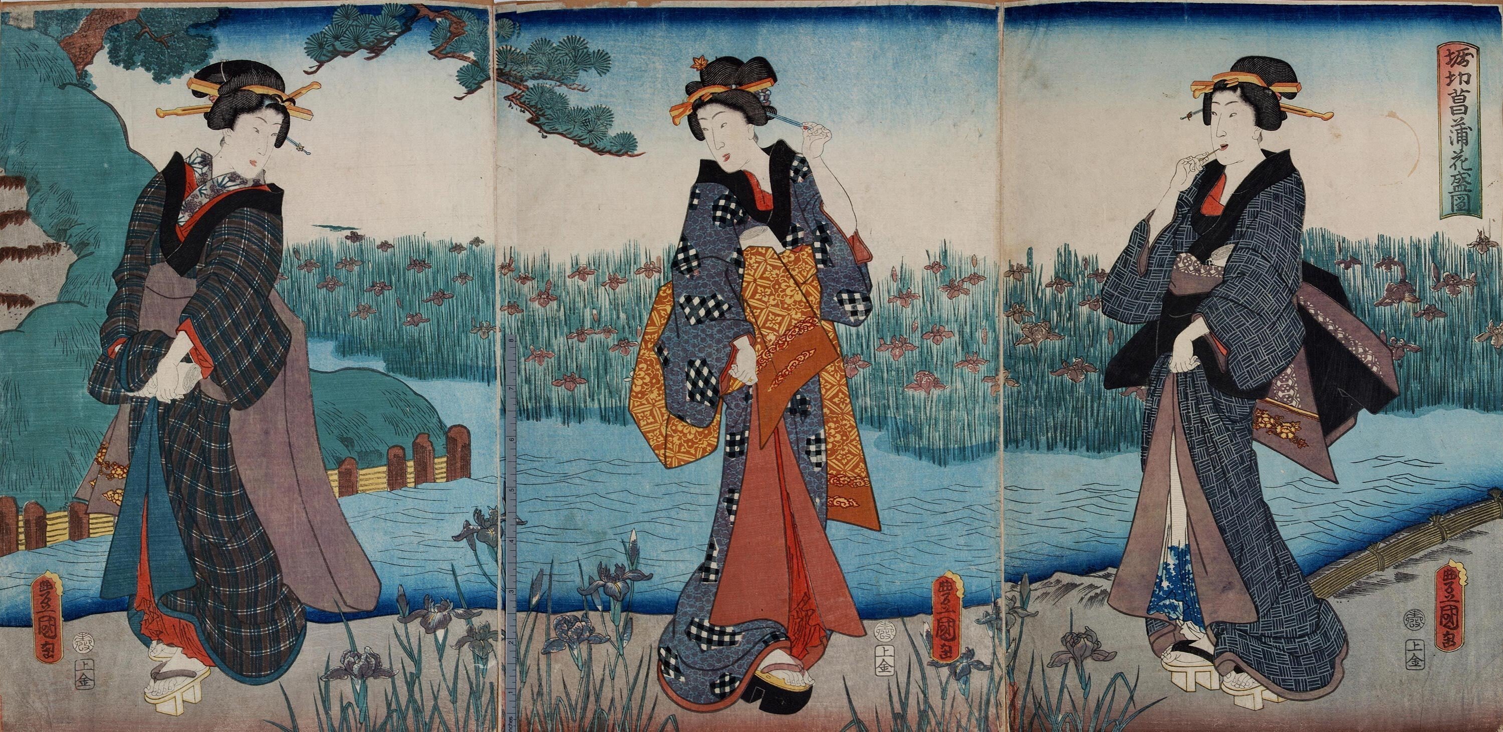 堀切の花菖蒲」−花の妖精も景色に服を合わせて来てる−『名所
