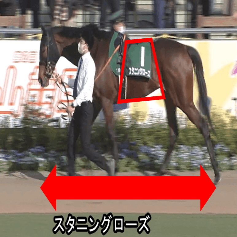 優駿牝馬g1 全18頭馬体考察であぶり出す 馬 パドックくん 馬体 パドック予想 Note