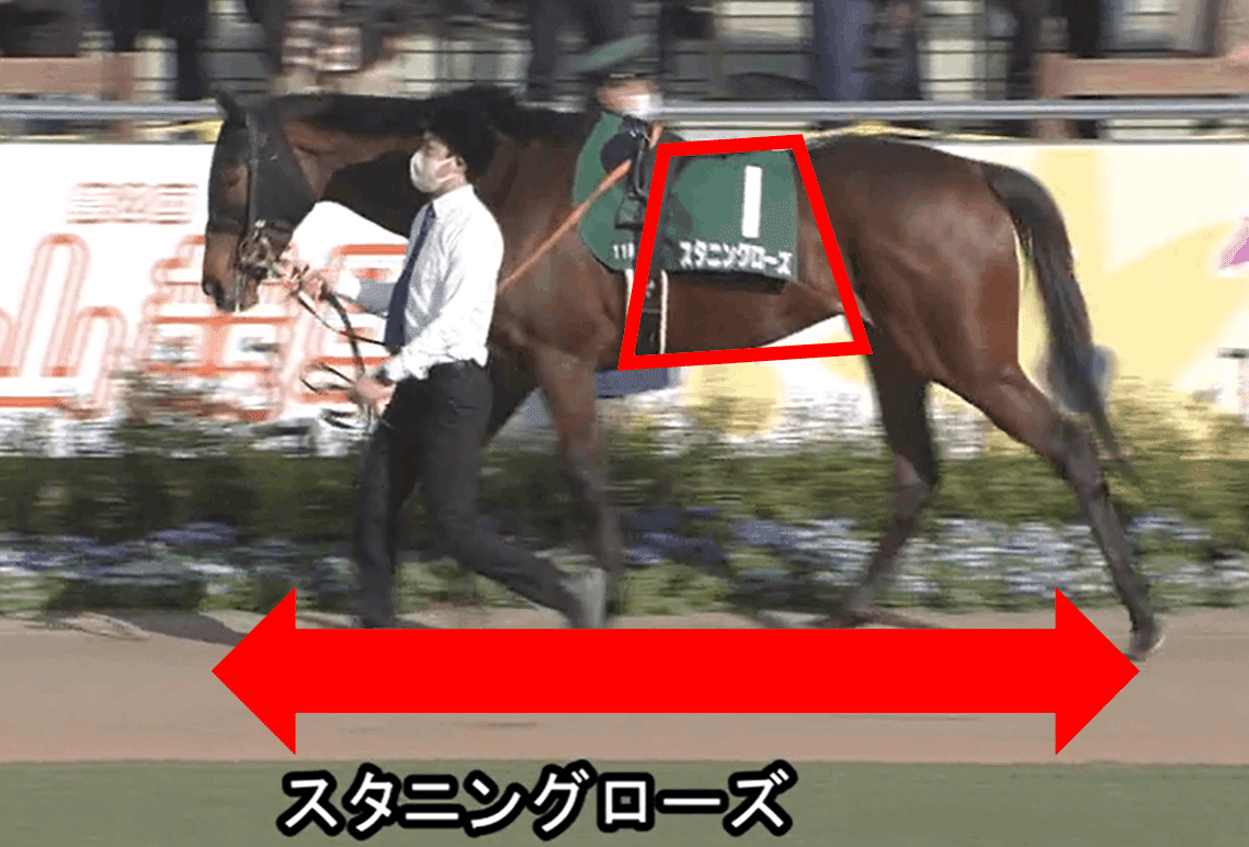 優駿牝馬g1 全18頭馬体考察であぶり出す 馬 パドックくん 馬体 パドック予想 Note 優駿牝馬g1 全18頭馬体考察であぶり出す 馬 パドックくん 馬体 パドック予想 Note