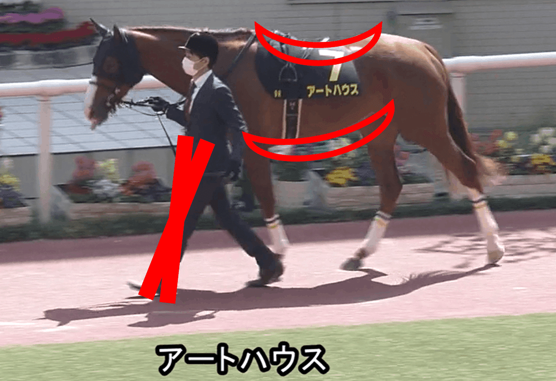 優駿牝馬g1 全18頭馬体考察であぶり出す 馬 パドックくん 馬体 パドック予想 Note 優駿牝馬g1 全18頭馬体考察であぶり出す 馬 パドックくん 馬体 パドック予想 Note